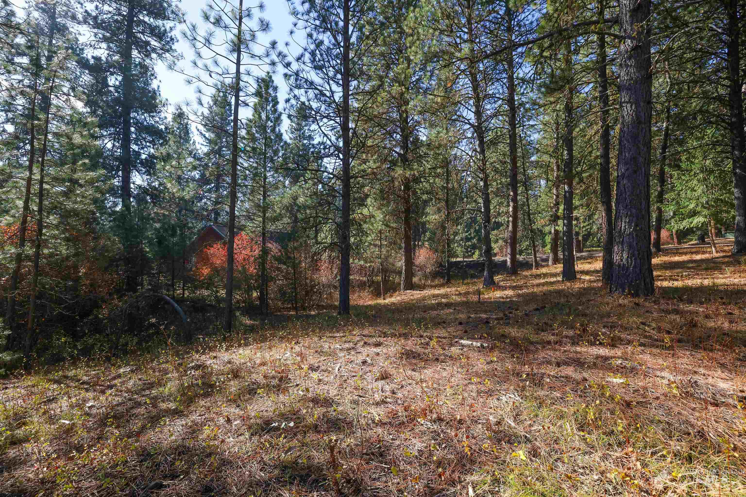 Tbd Columbine Drive Property Photo 14