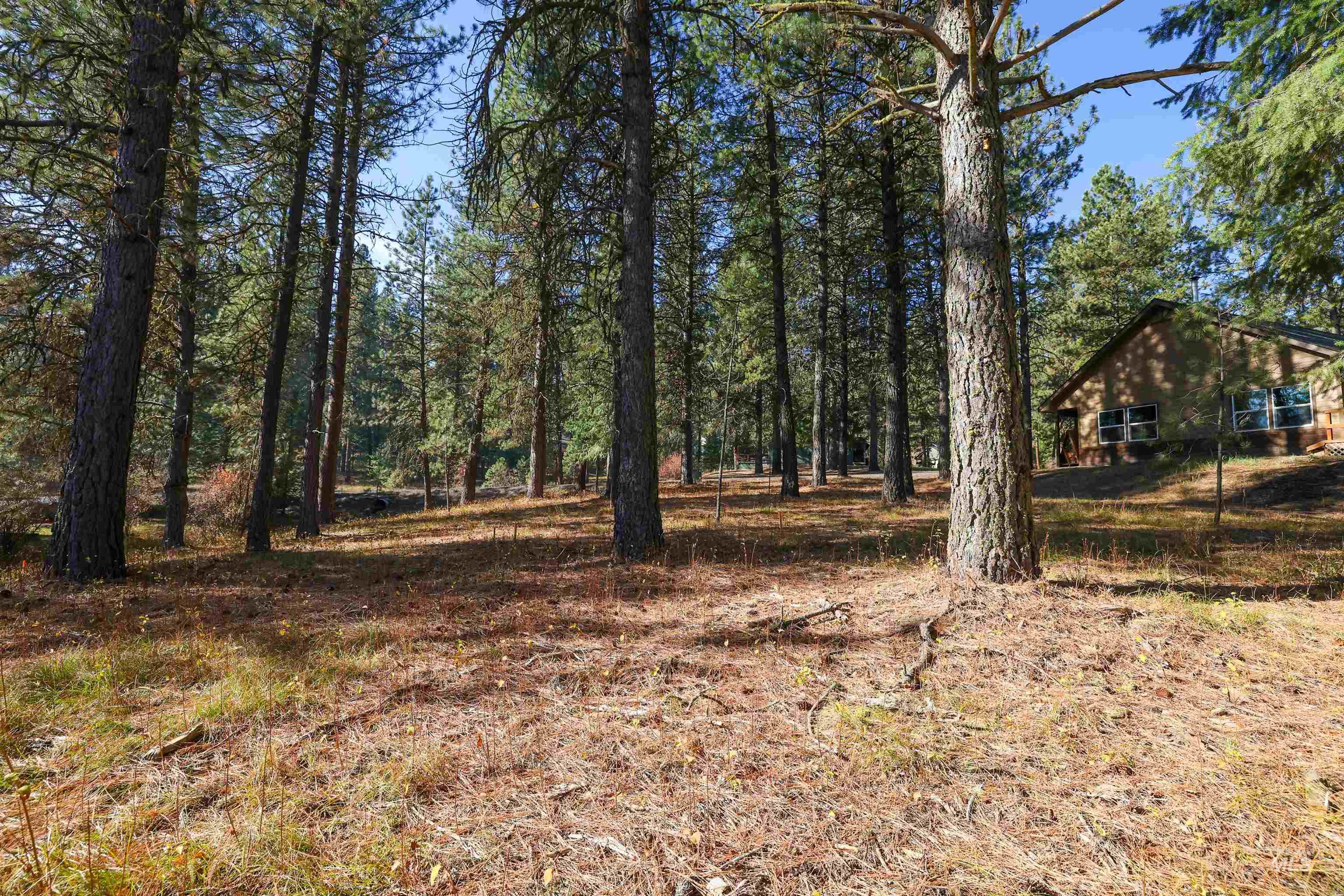 Tbd Columbine Drive Property Photo 15