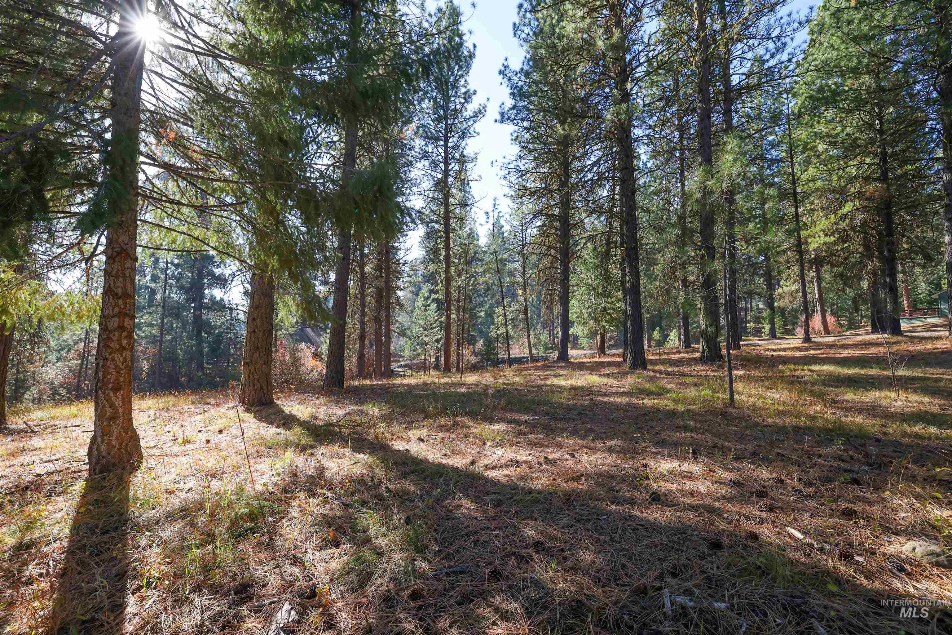 Tbd Columbine Drive Property Photo 16