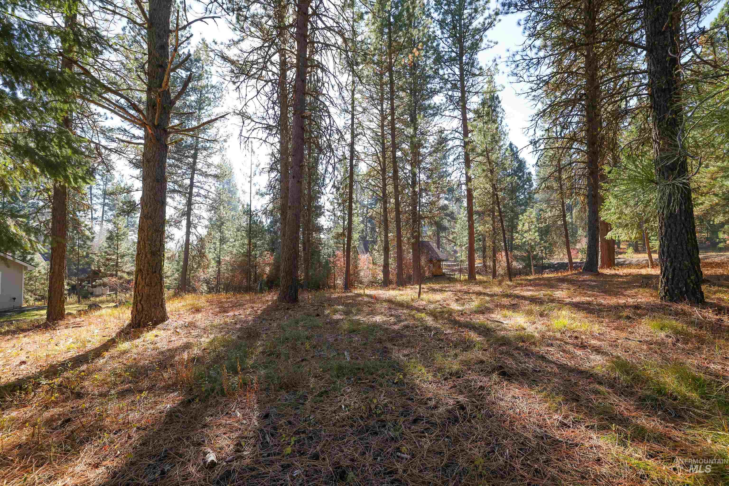 Tbd Columbine Drive Property Photo 17