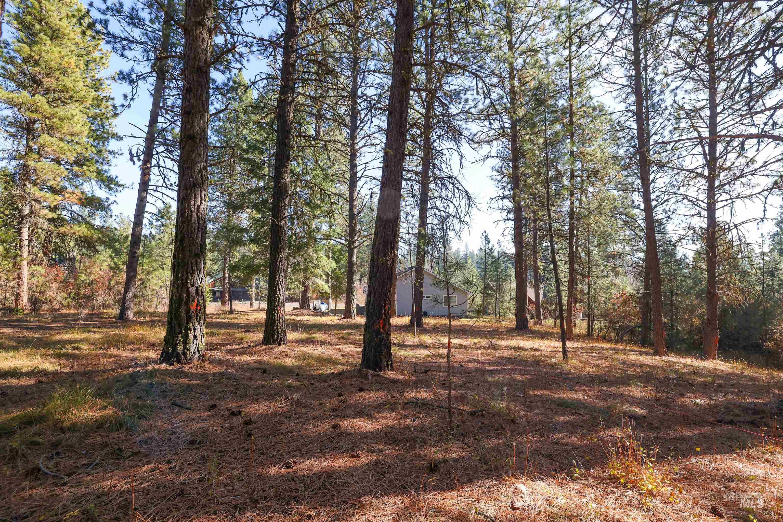 Tbd Columbine Drive Property Photo 18