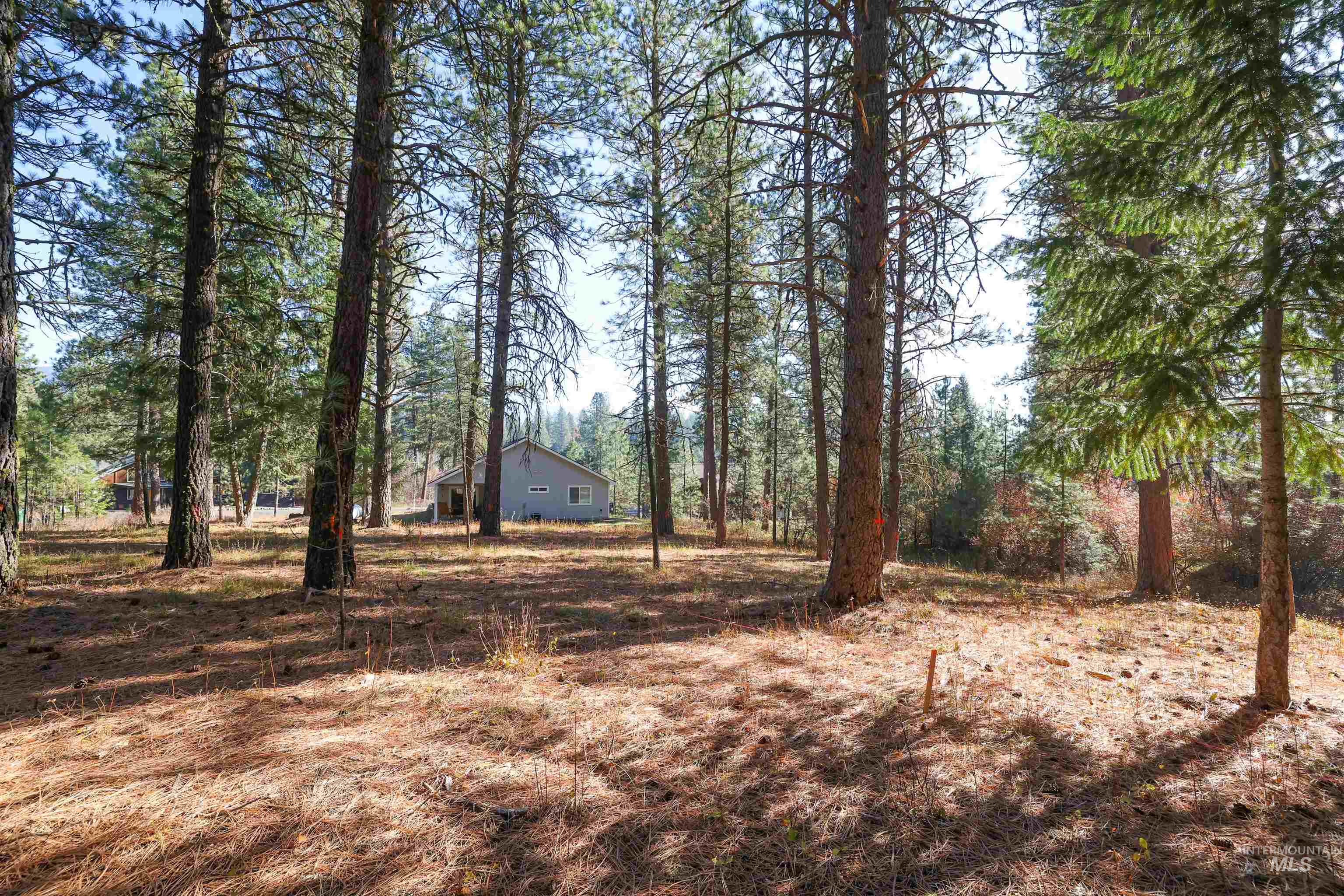 Tbd Columbine Drive Property Photo 19