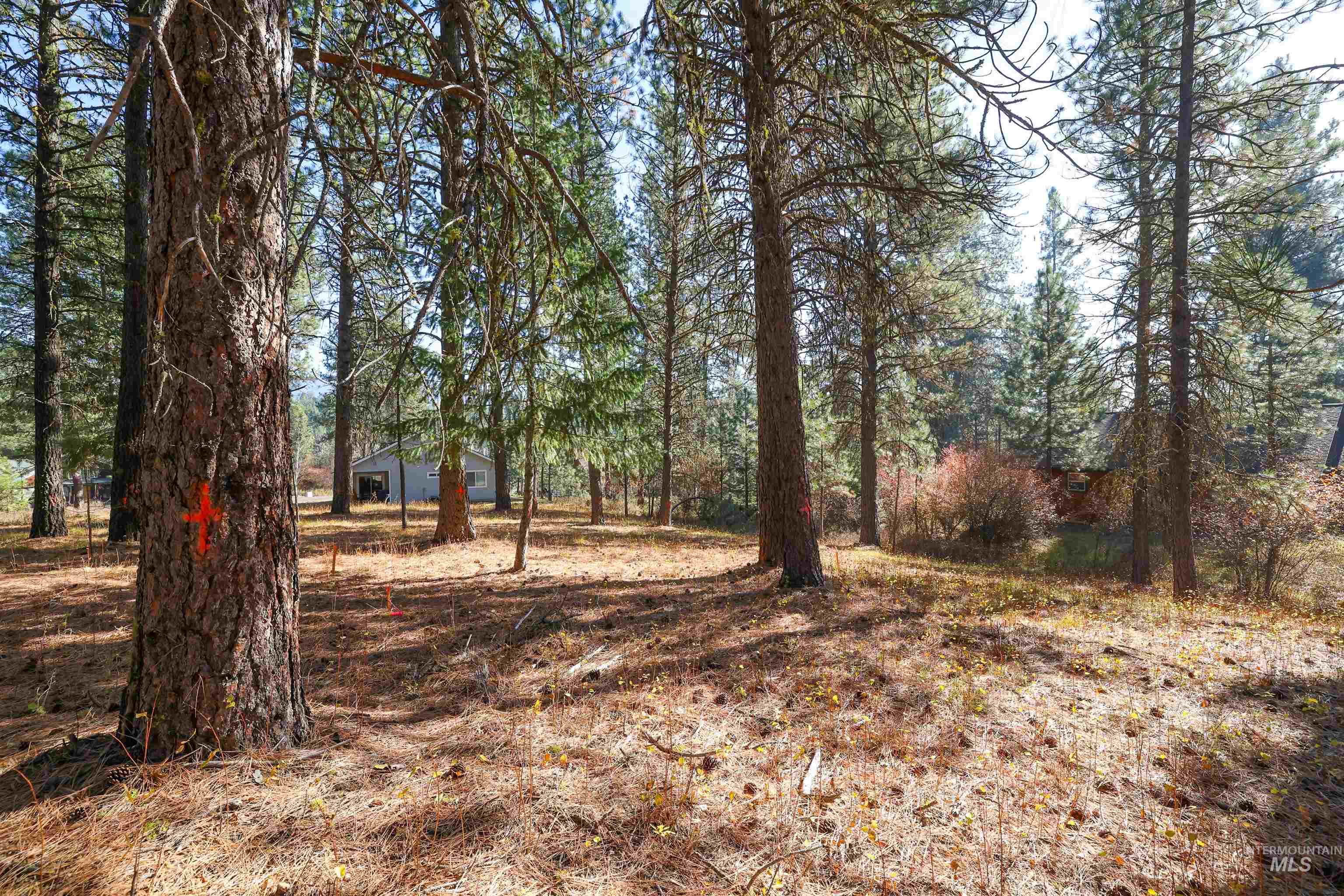 Tbd Columbine Drive Property Photo 20