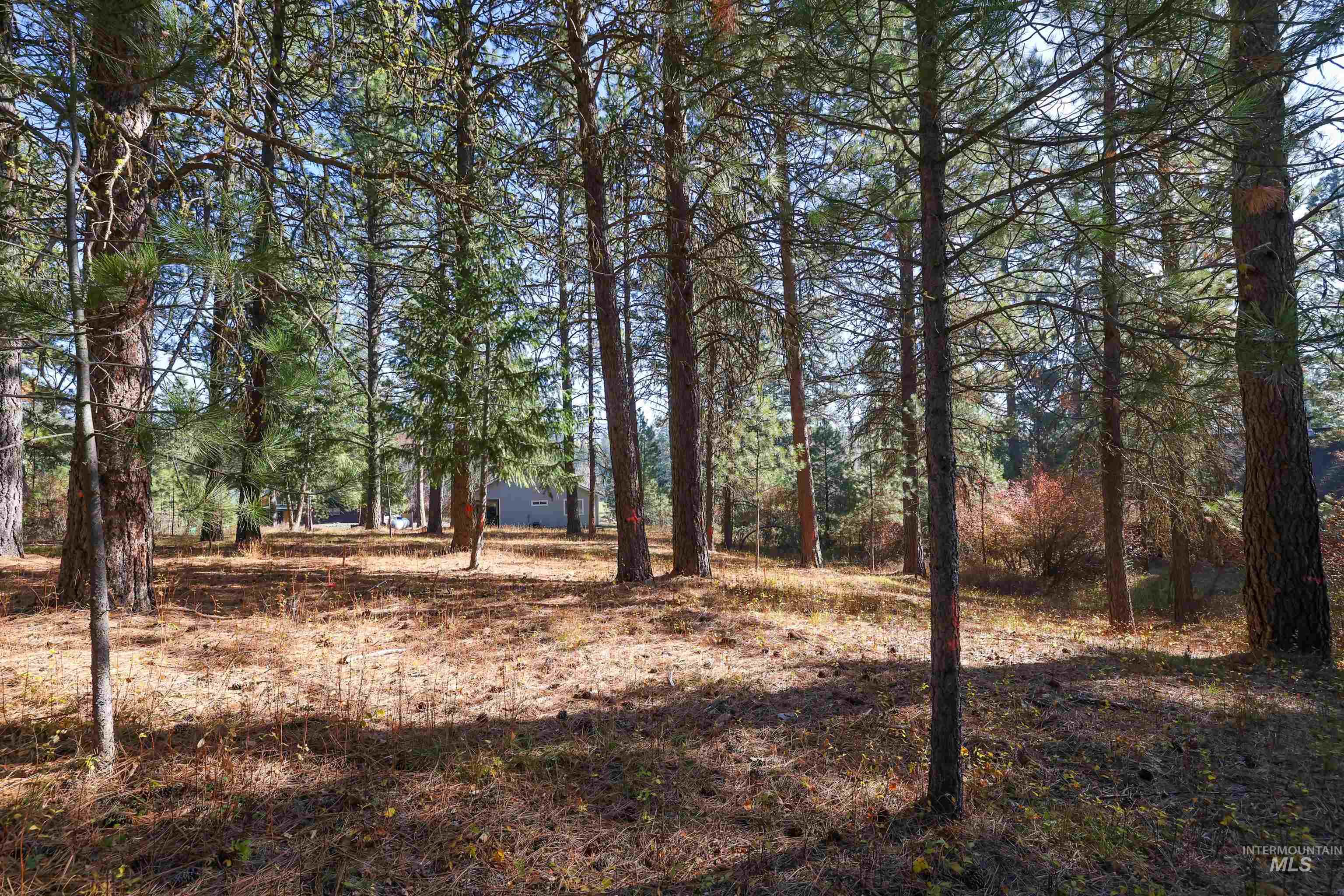 Tbd Columbine Drive Property Photo 21