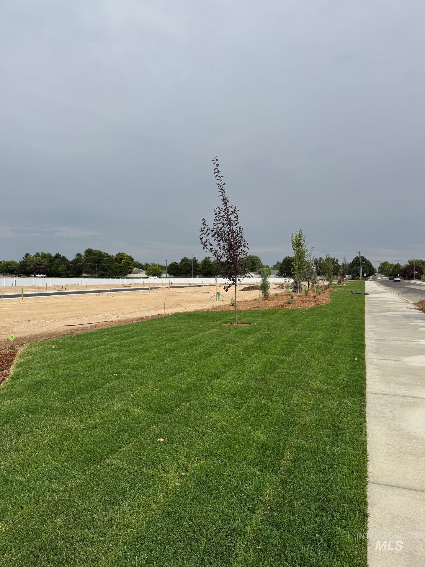 Lot 6 Blk 2 W Allspice Ct Property Photo 5