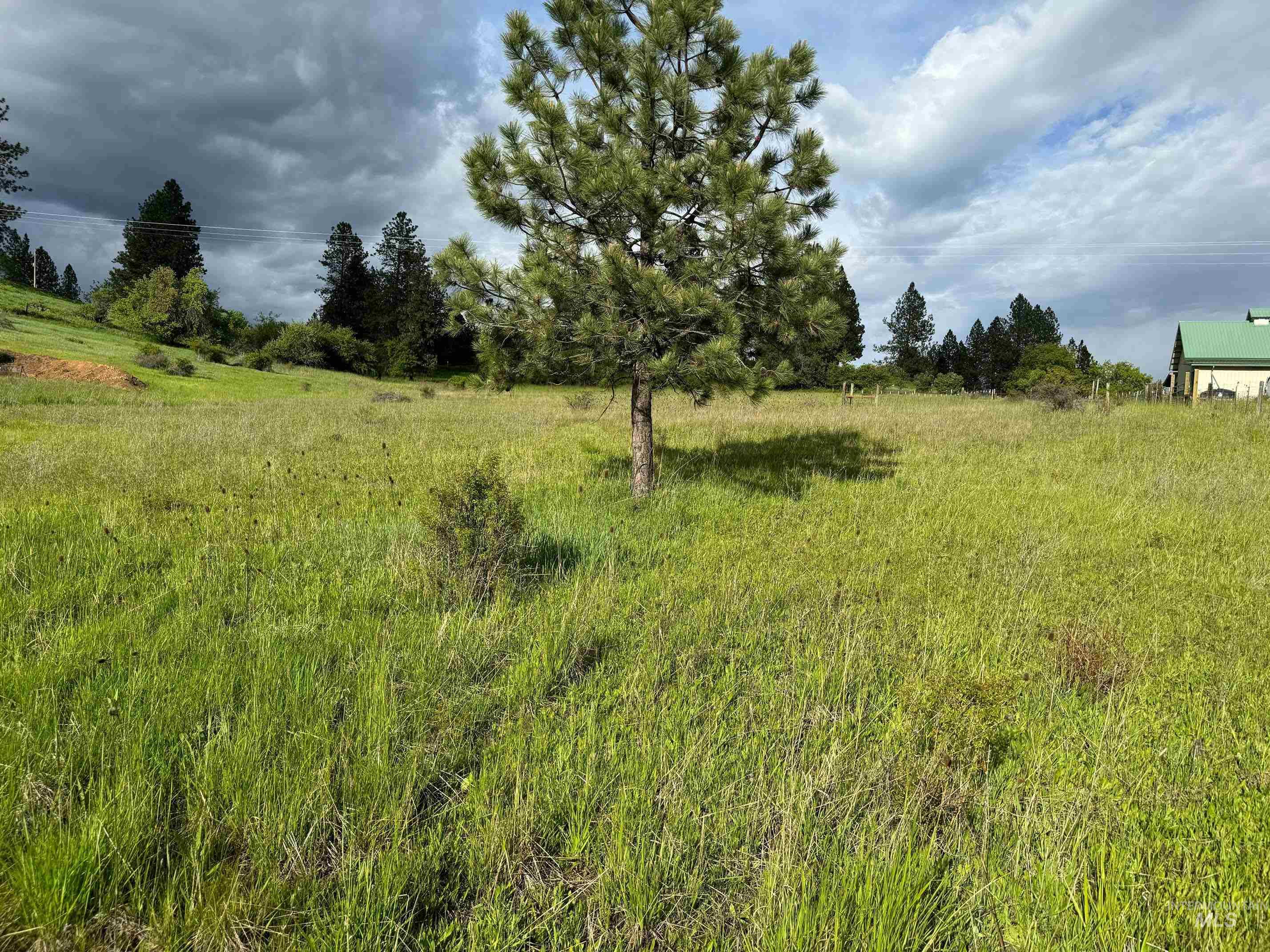 Tbd Tahoe Loop Property Photo 6