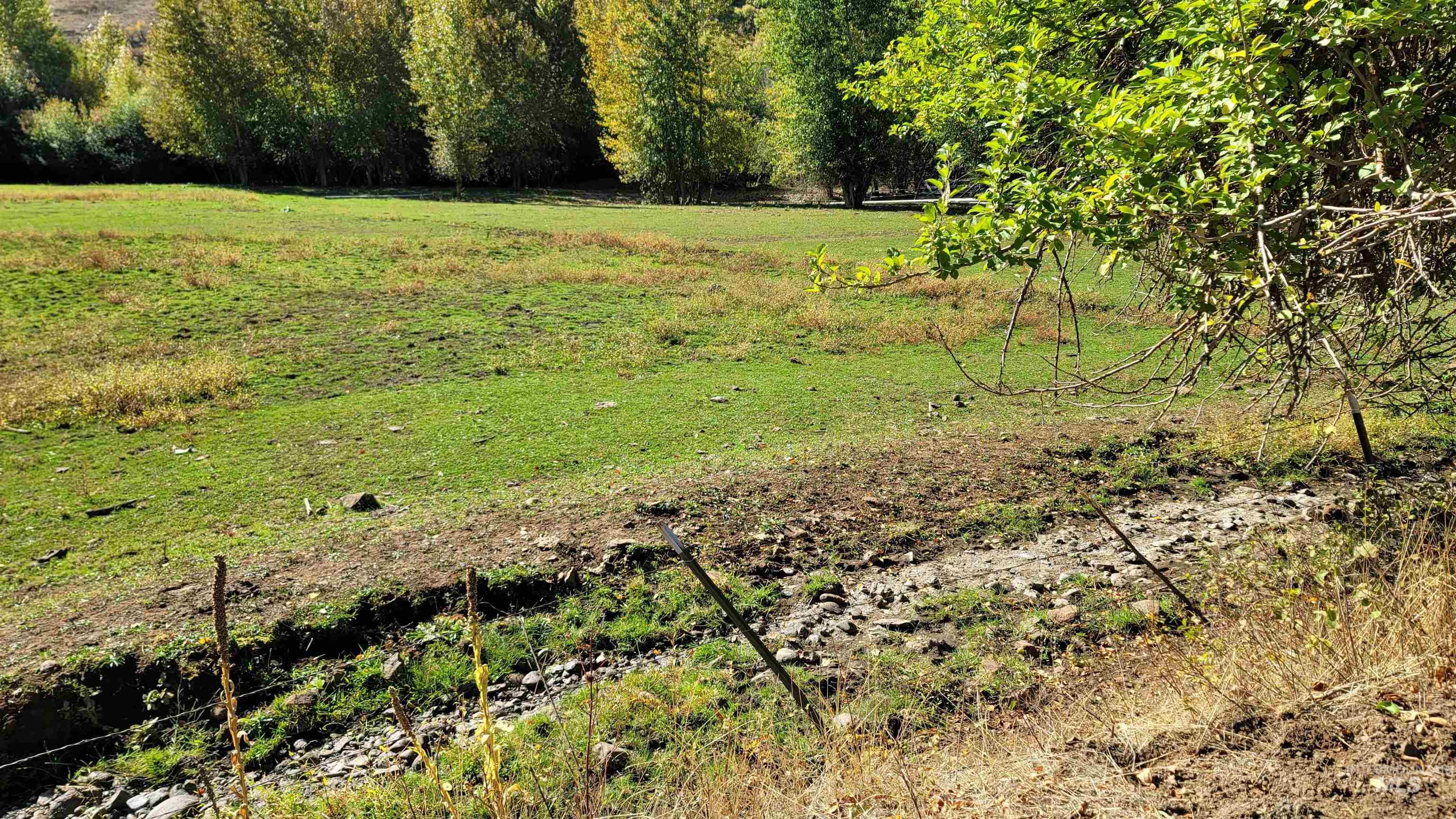 Tbd Goodrich Creek Rd. Property Photo 2