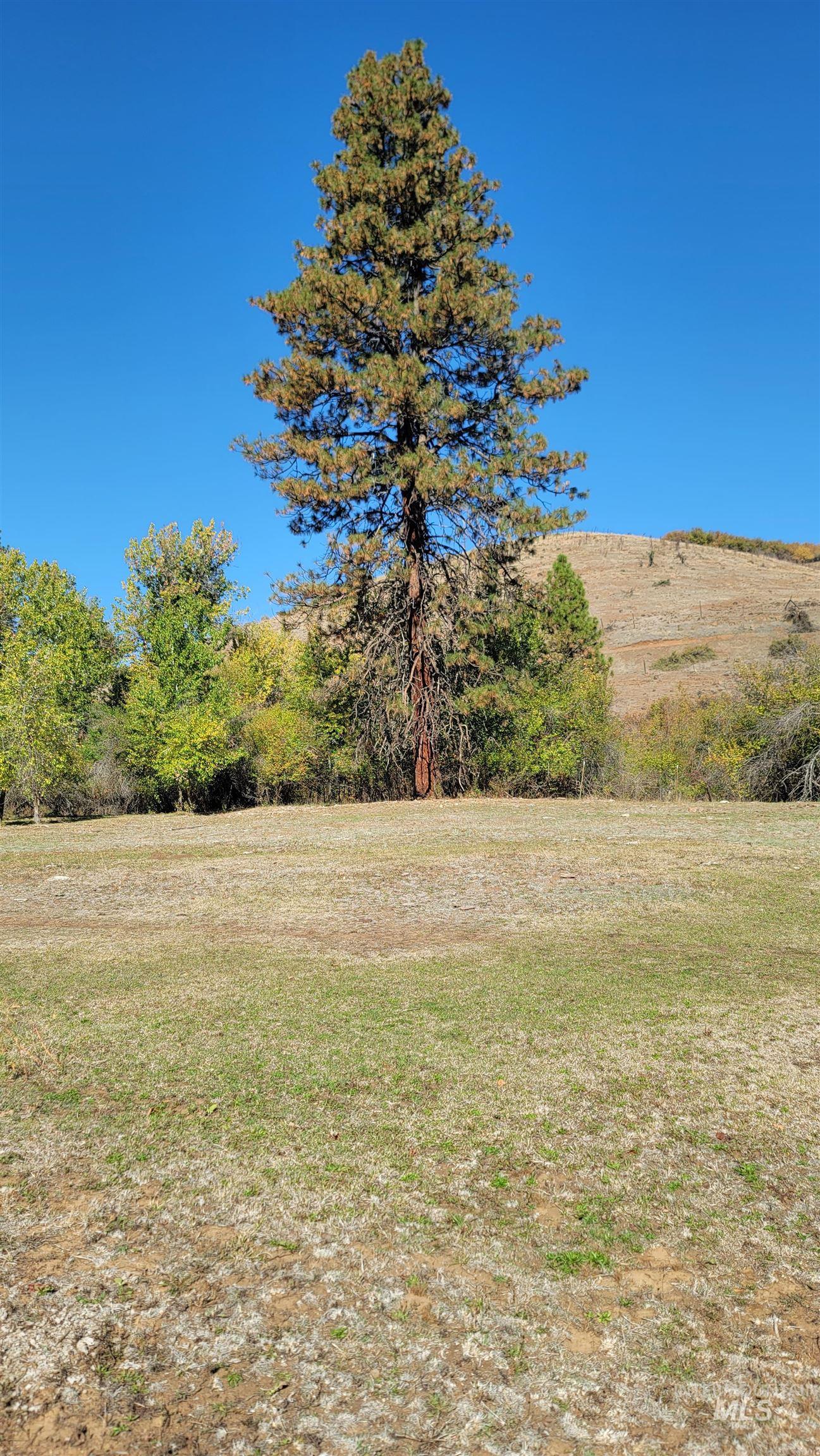 Tbd Goodrich Creek Rd. Property Photo 5