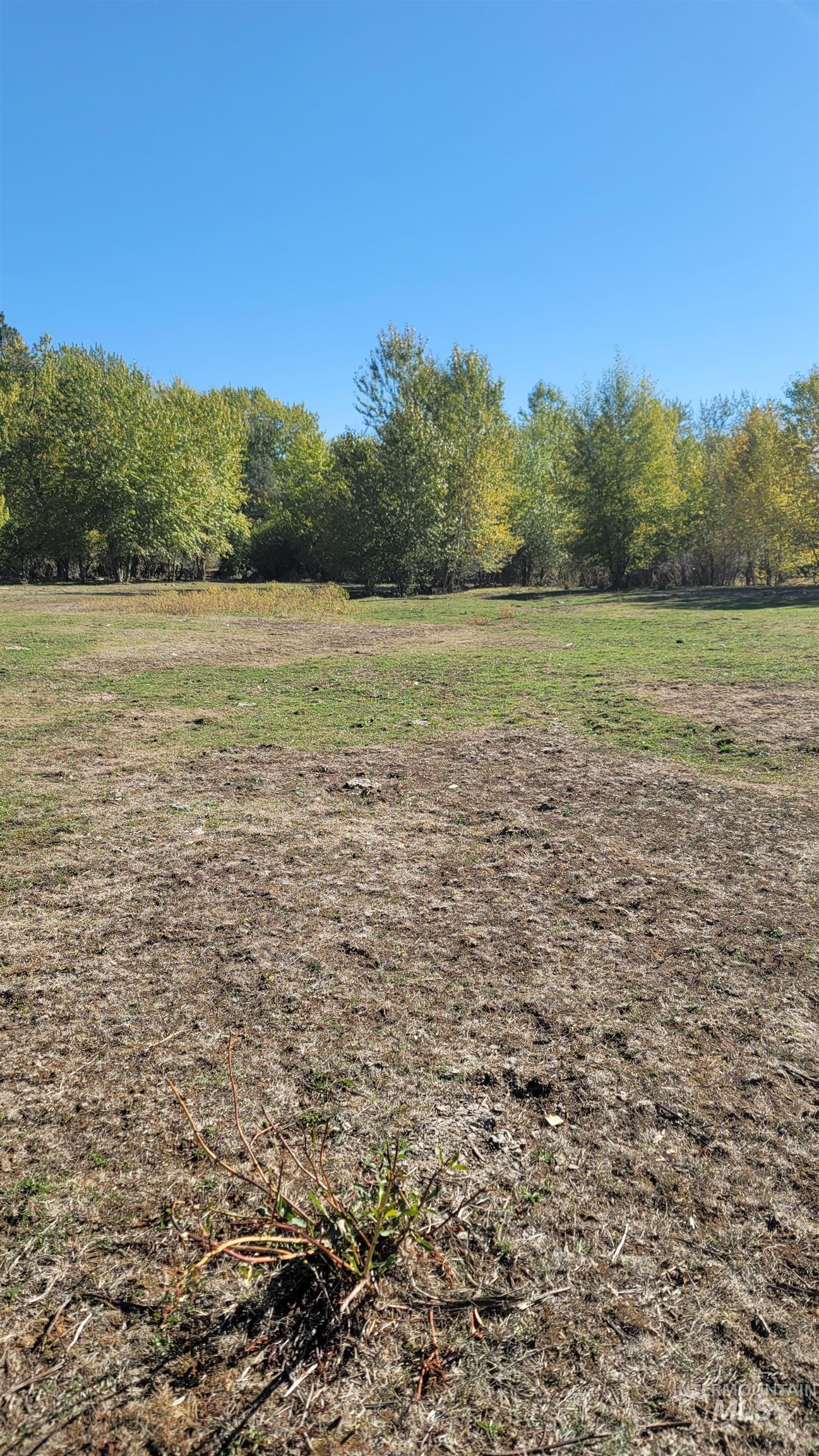 Tbd Goodrich Creek Rd. Property Photo 7