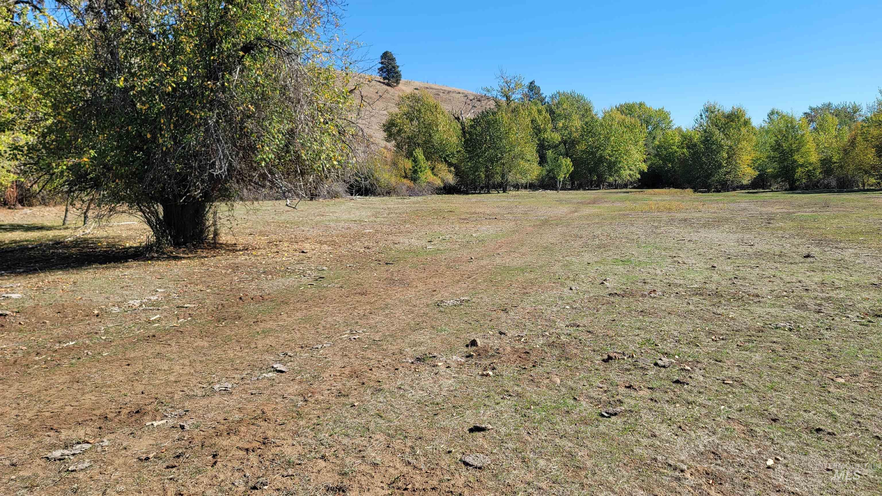 Tbd Goodrich Creek Rd. Property Photo 10