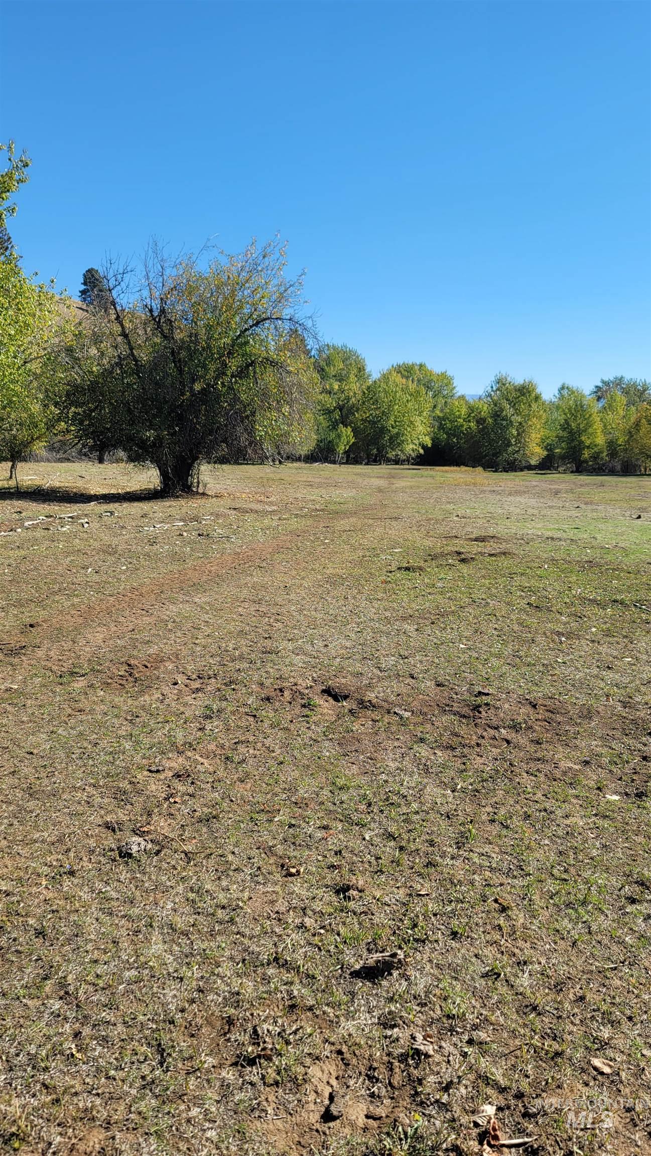 Tbd Goodrich Creek Rd. Property Photo 11