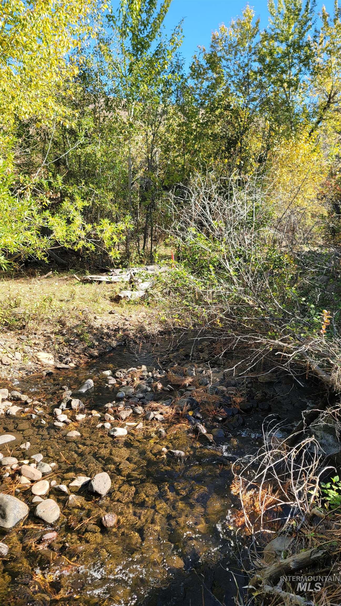 Tbd Goodrich Creek Rd. Property Photo 12