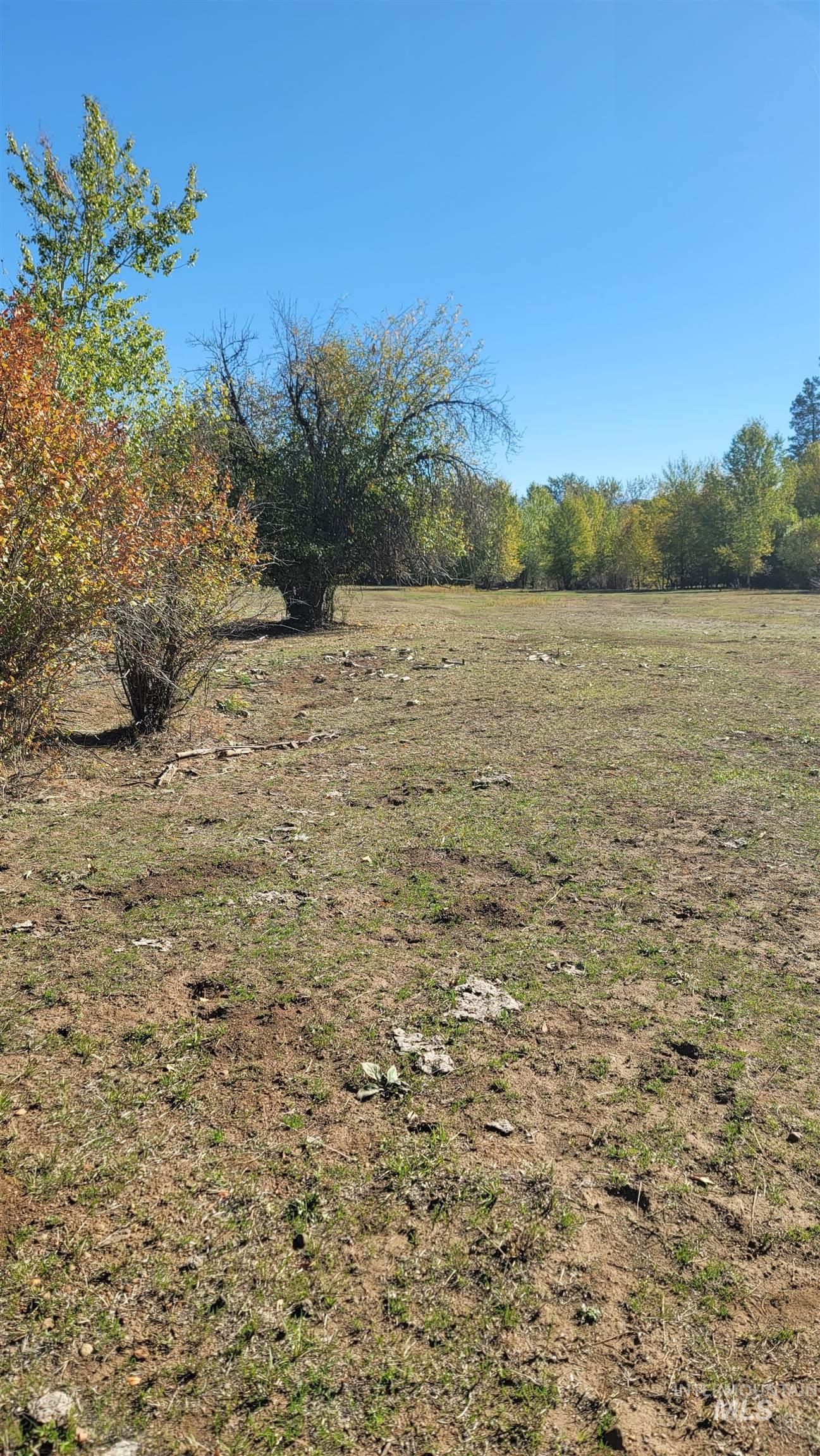 Tbd Goodrich Creek Rd. Property Photo 13