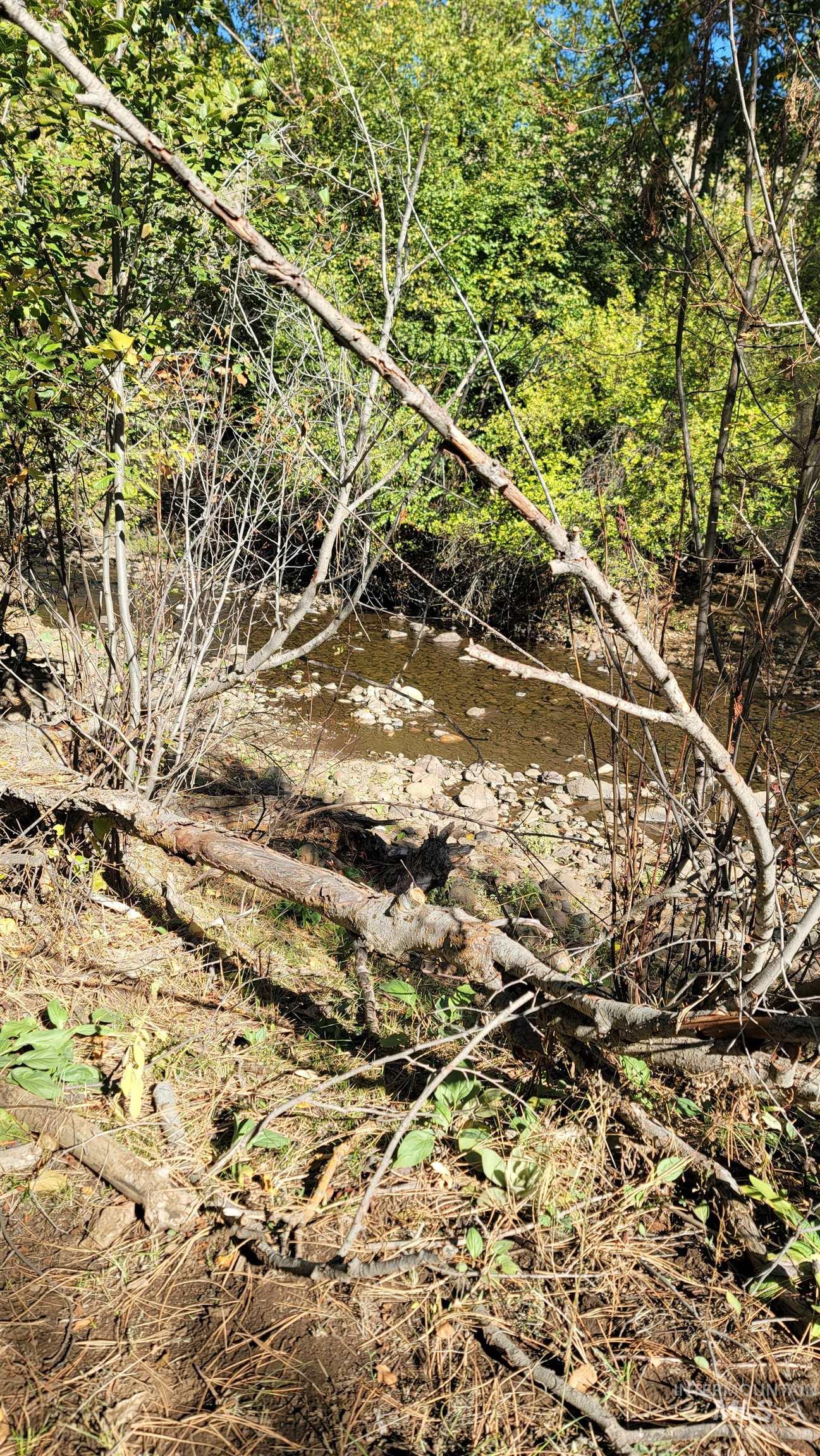 Tbd Goodrich Creek Rd. Property Photo 15