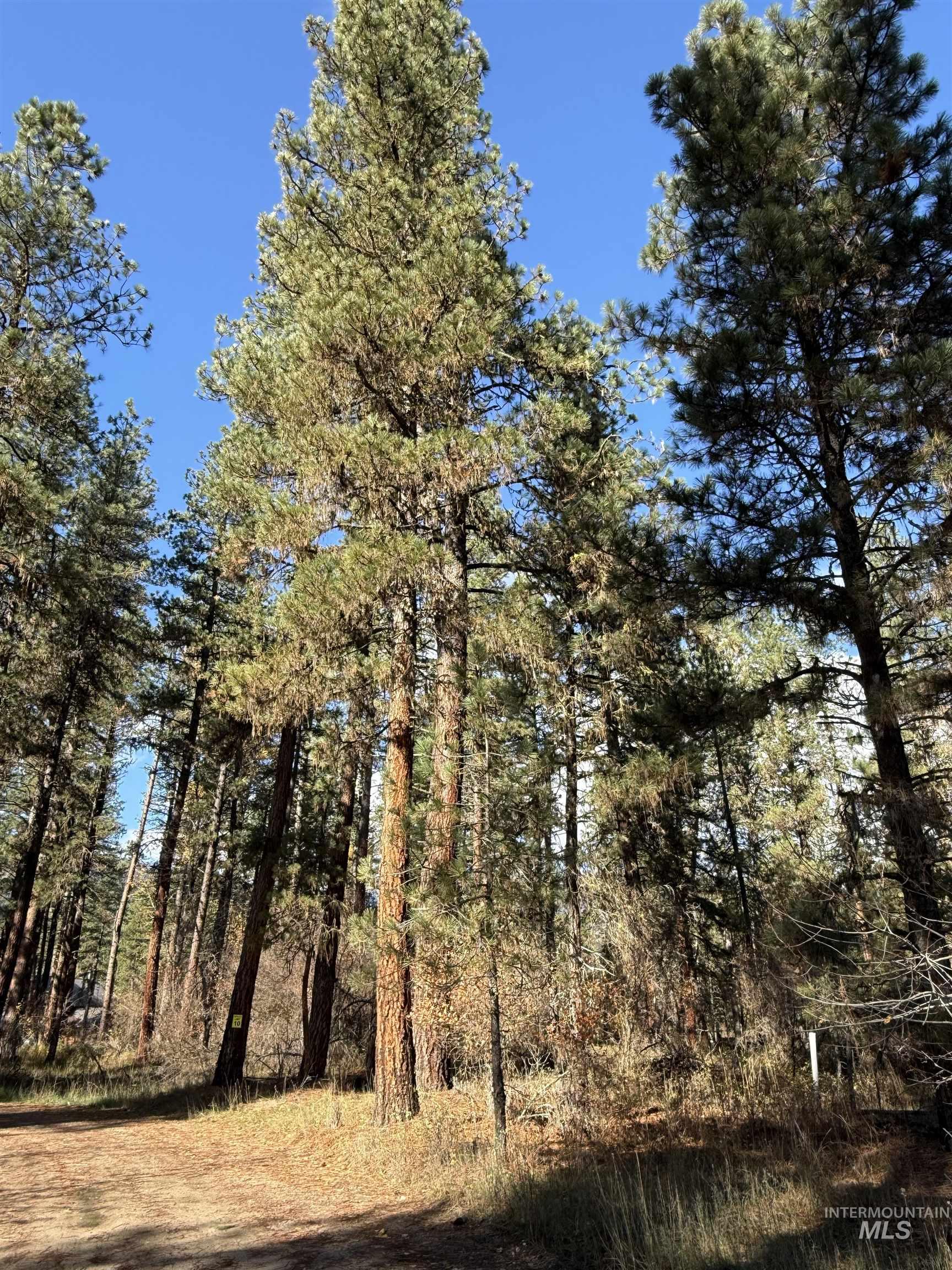 Lot 1 Lane C Property Photo 2