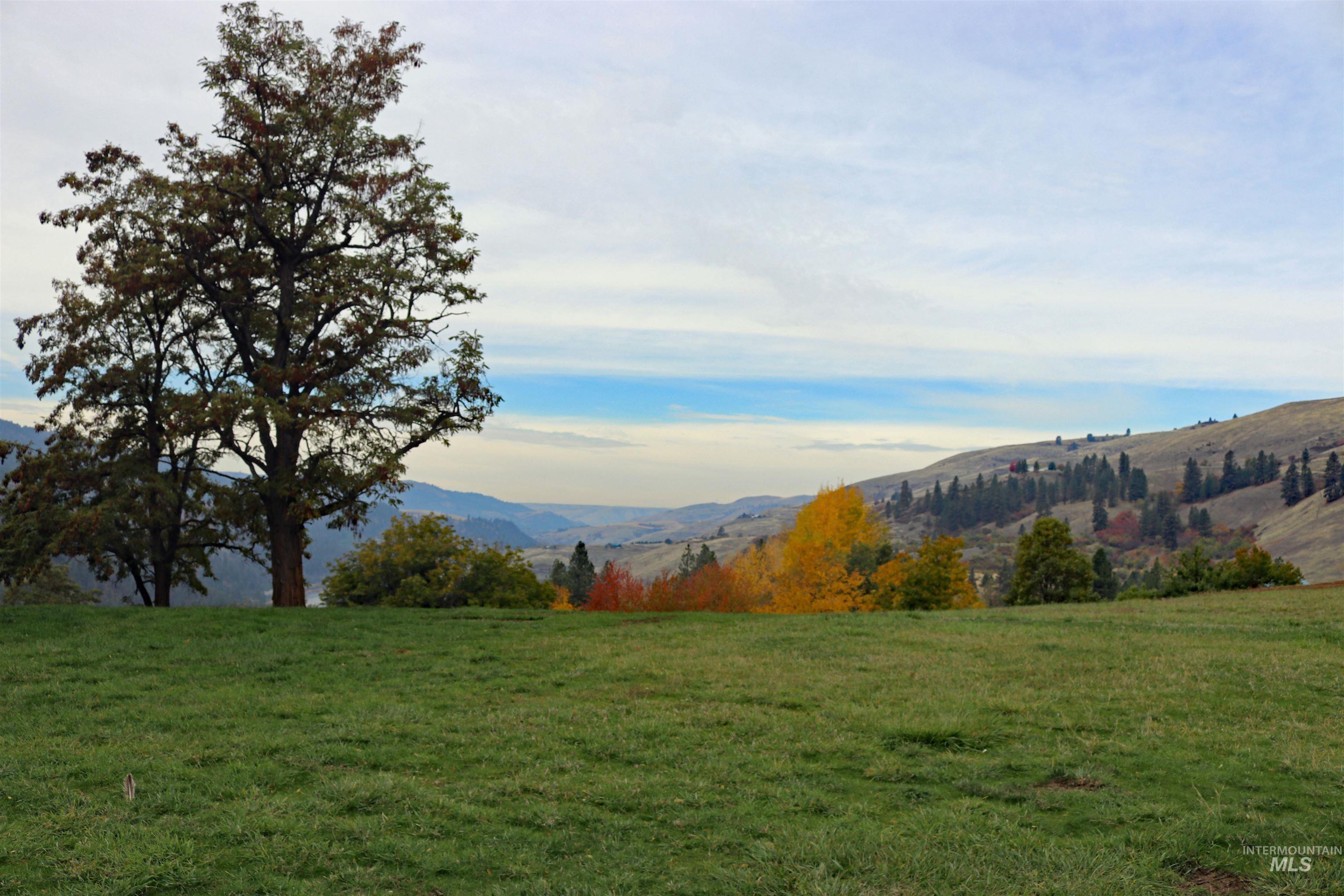 19975 Orchard Lane Property Photo 9