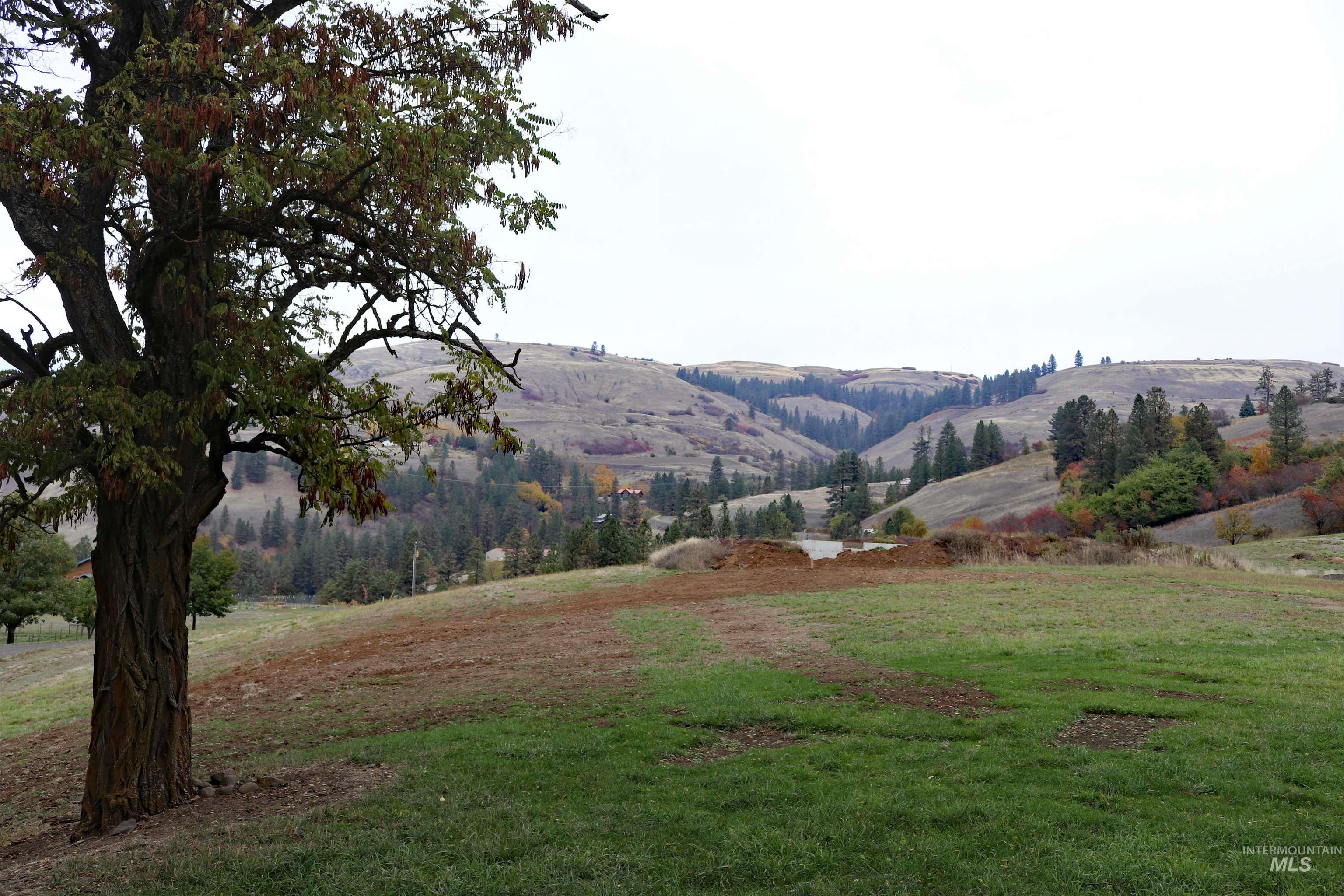 19975 Orchard Lane Property Photo 18