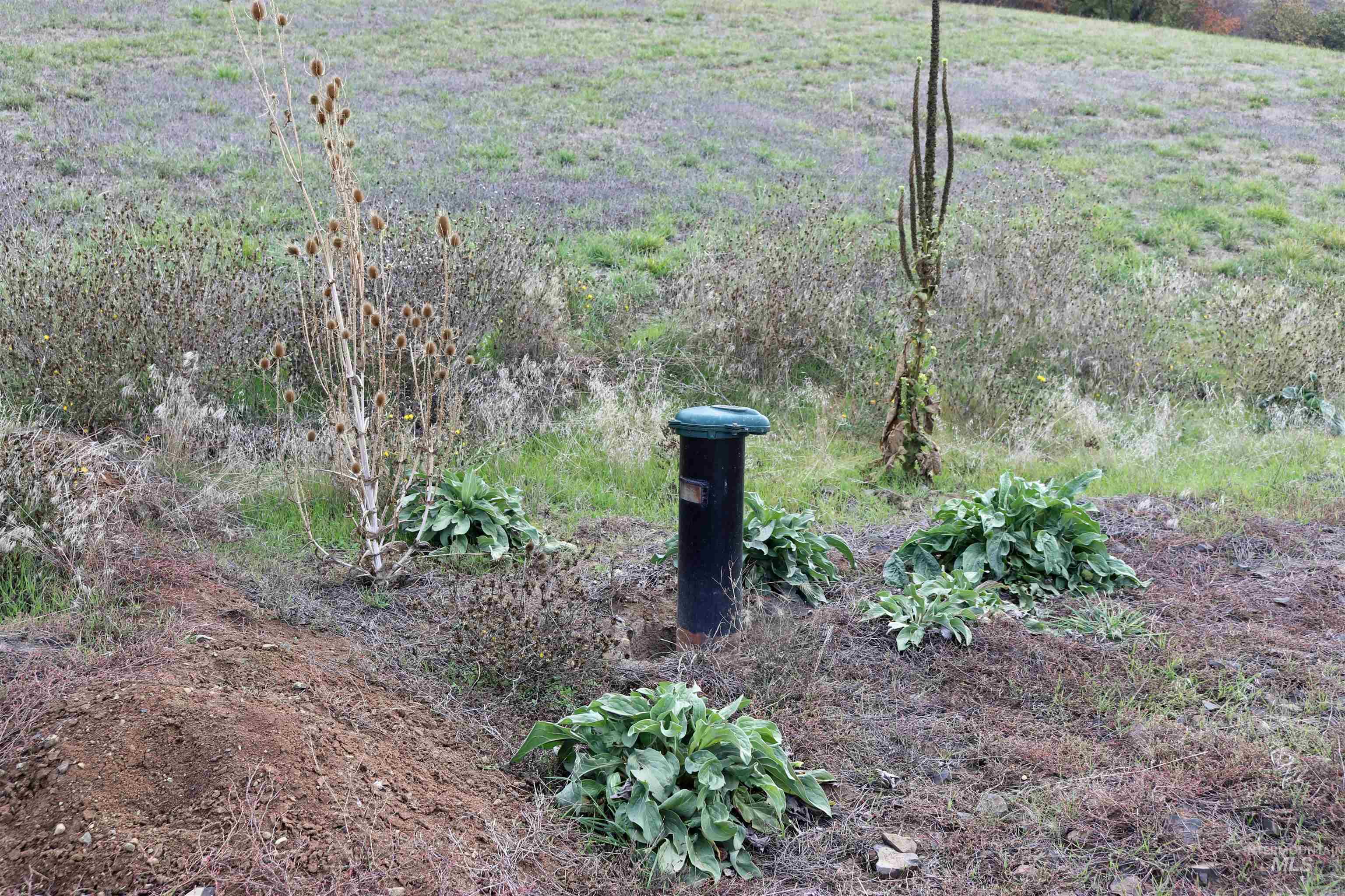 19975 Orchard Lane Property Photo 19