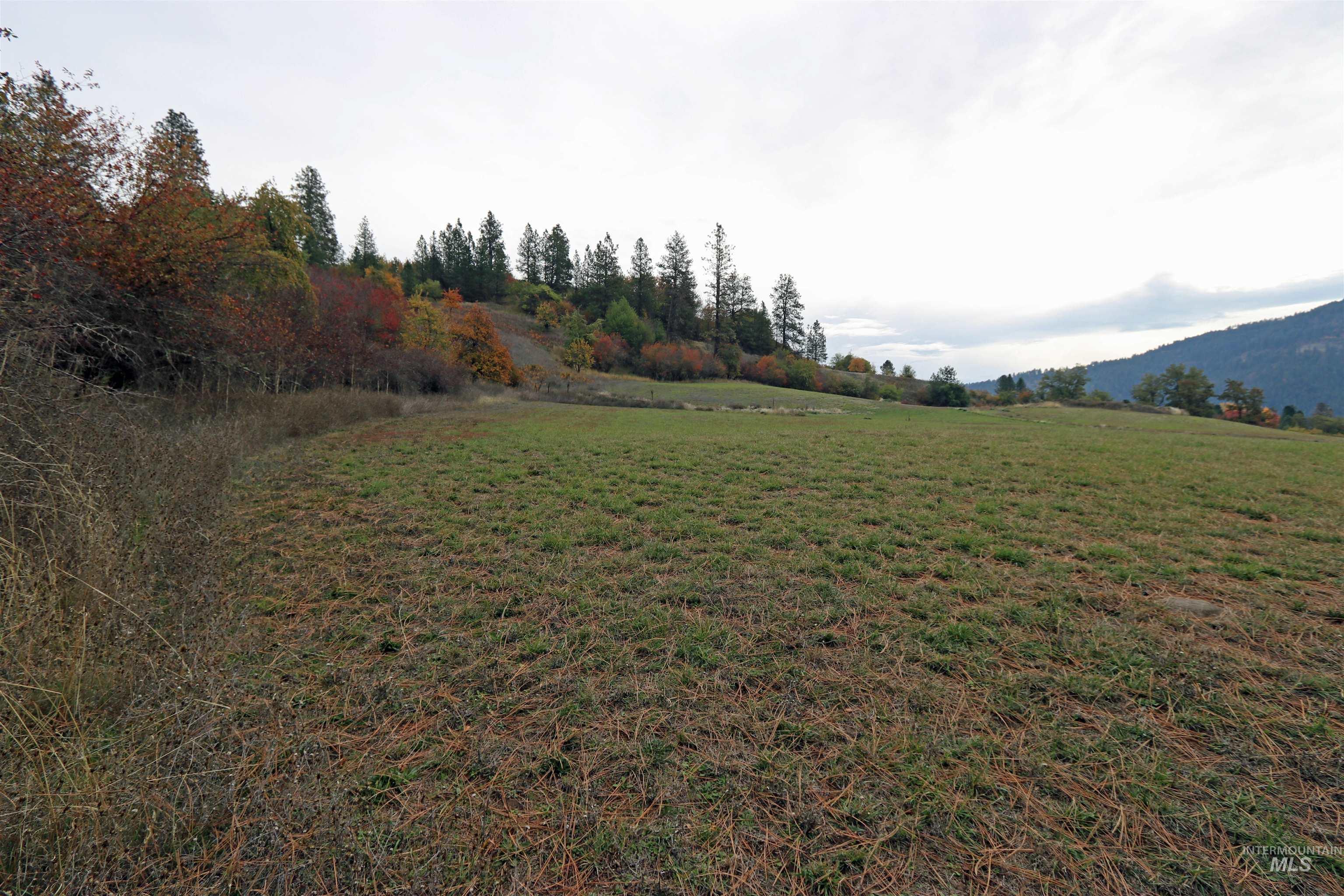 19975 Orchard Lane Property Photo 28