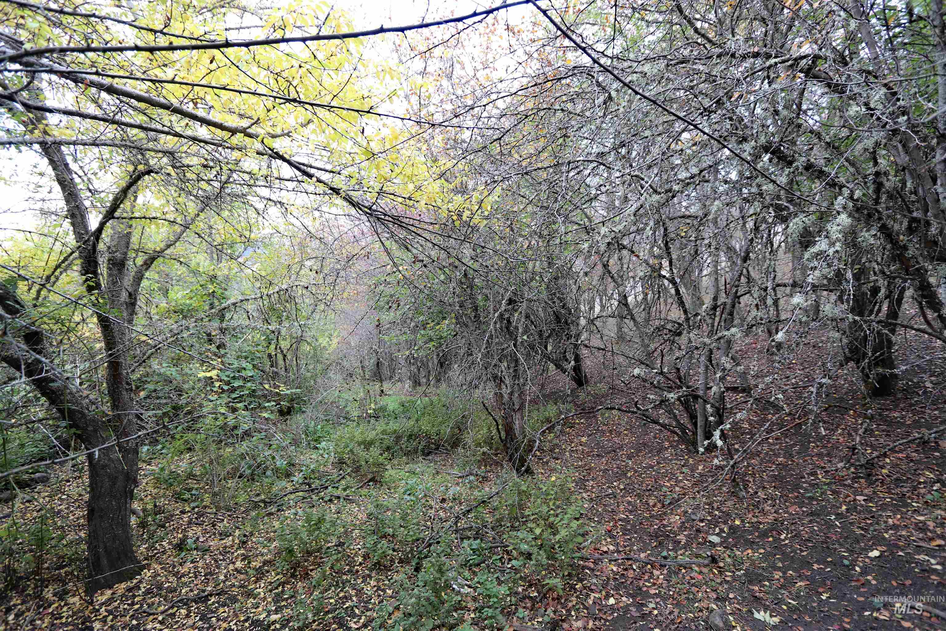 19975 Orchard Lane Property Photo 30