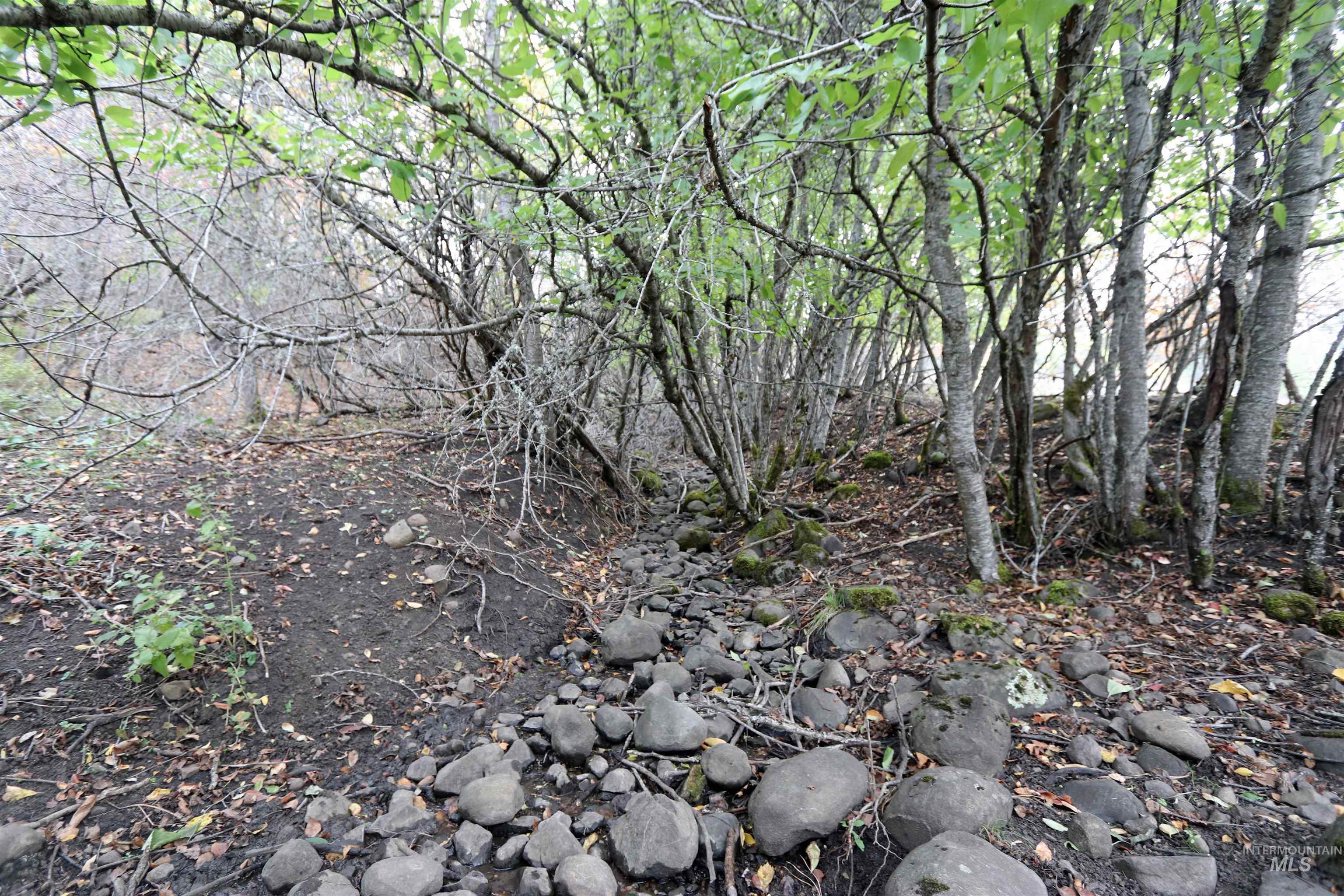 19975 Orchard Lane Property Photo 31