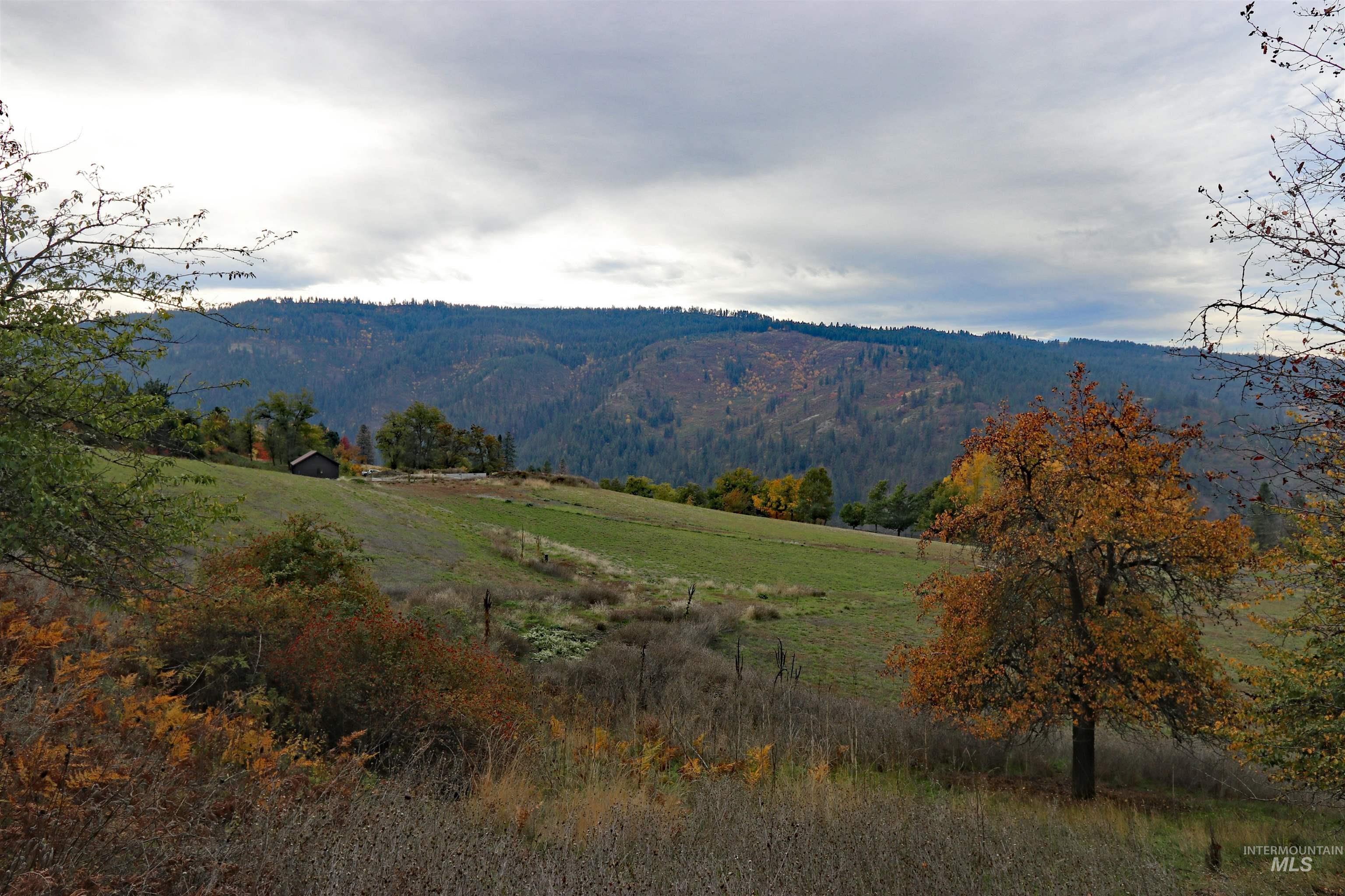 19975 Orchard Lane Property Photo 33