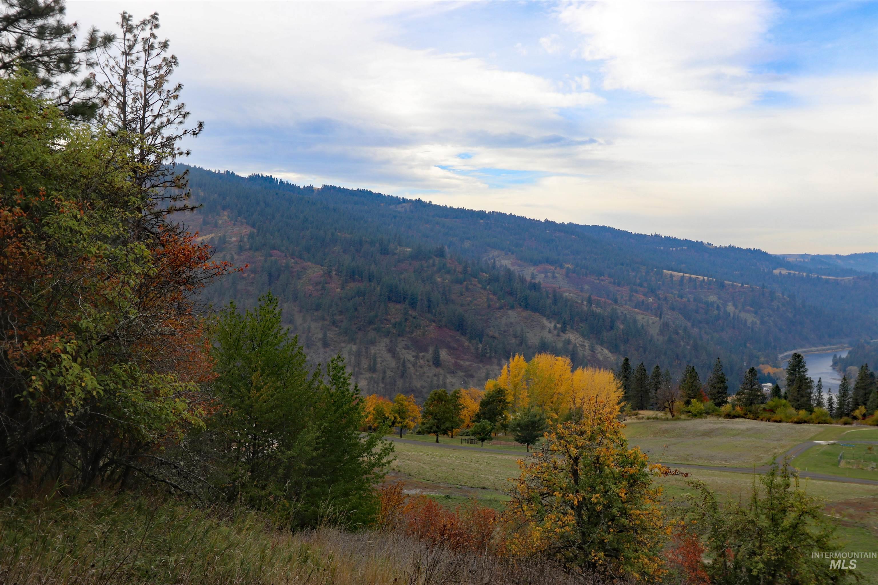 19975 Orchard Lane Property Photo 35