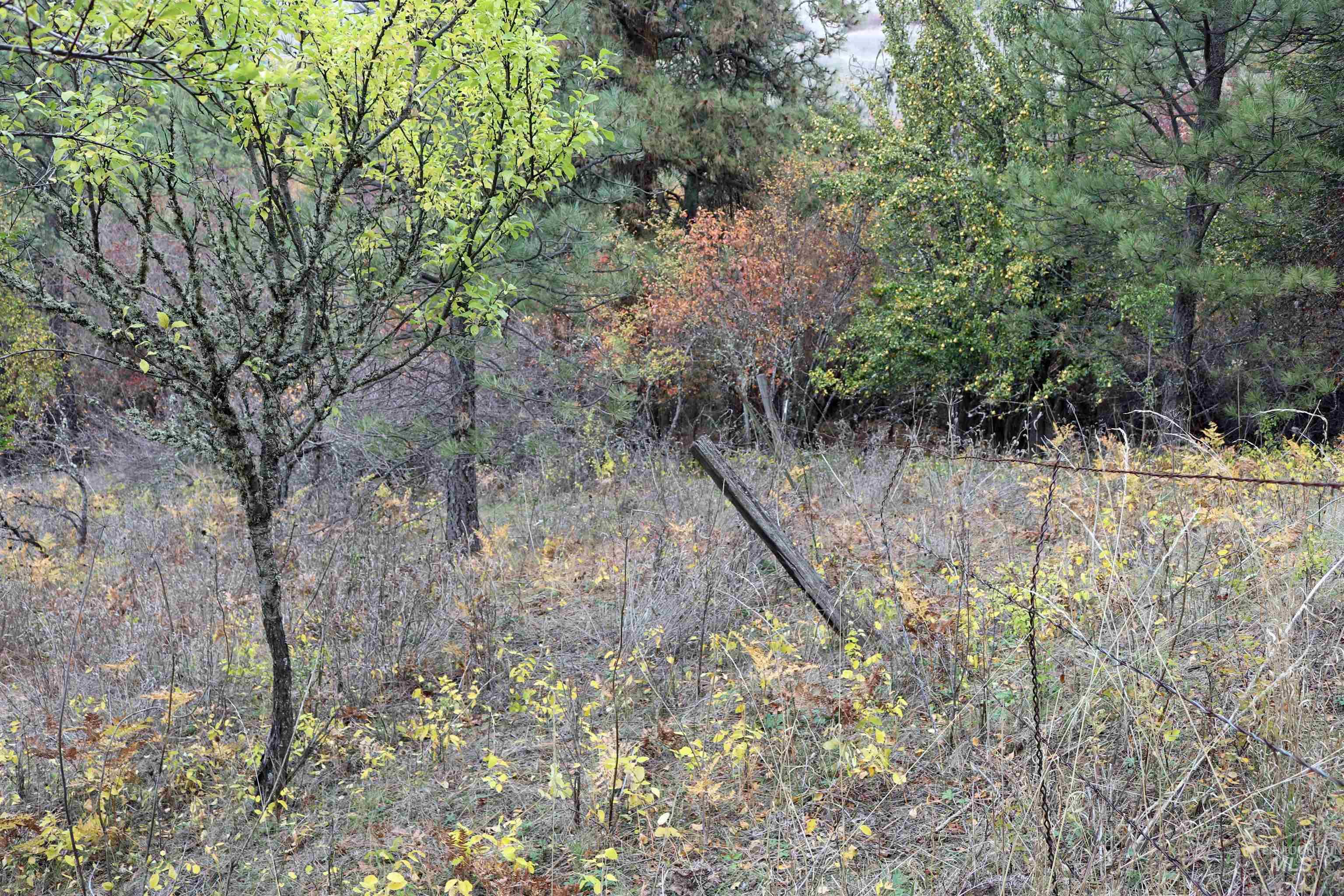 19975 Orchard Lane Property Photo 36