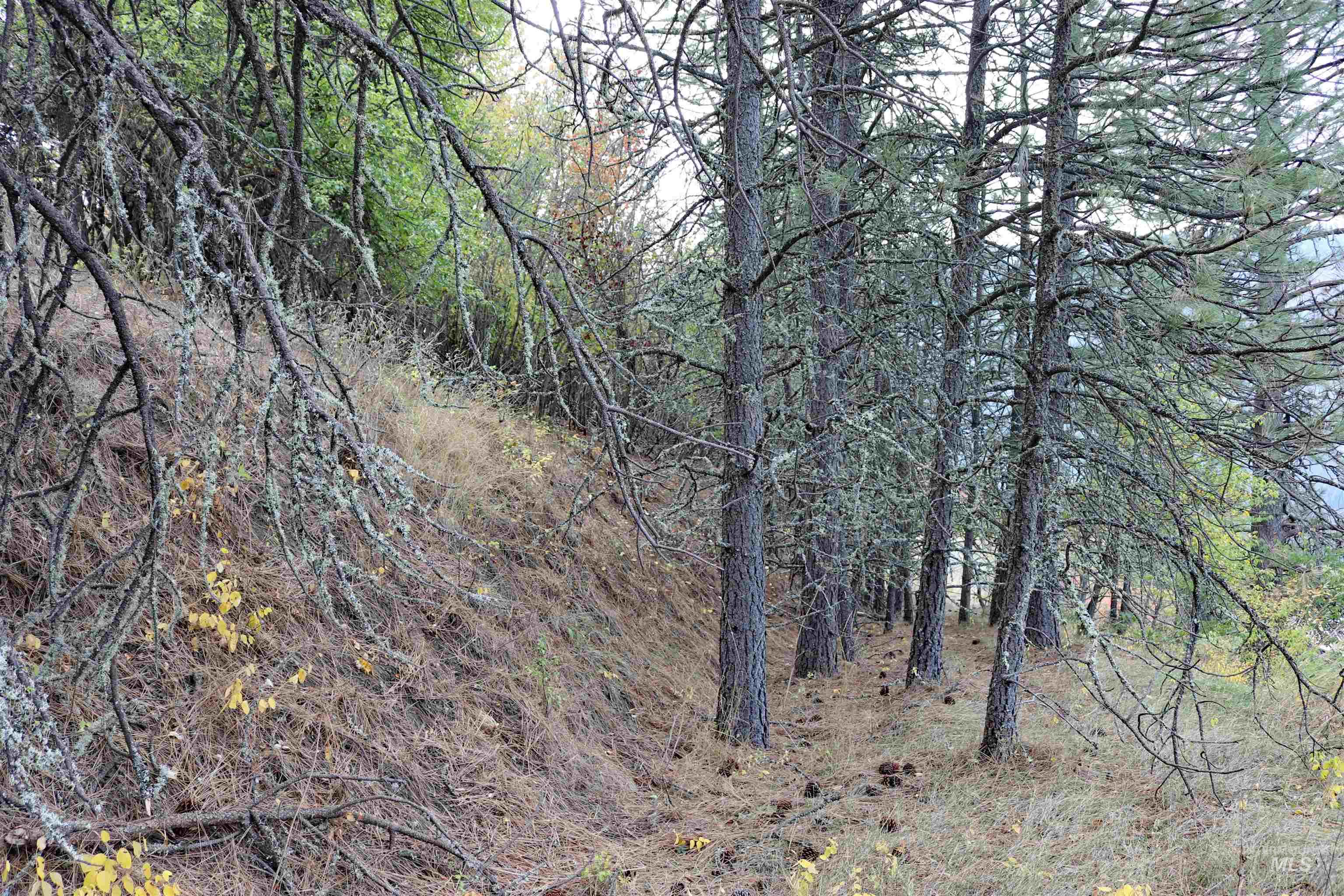 19975 Orchard Lane Property Photo 37