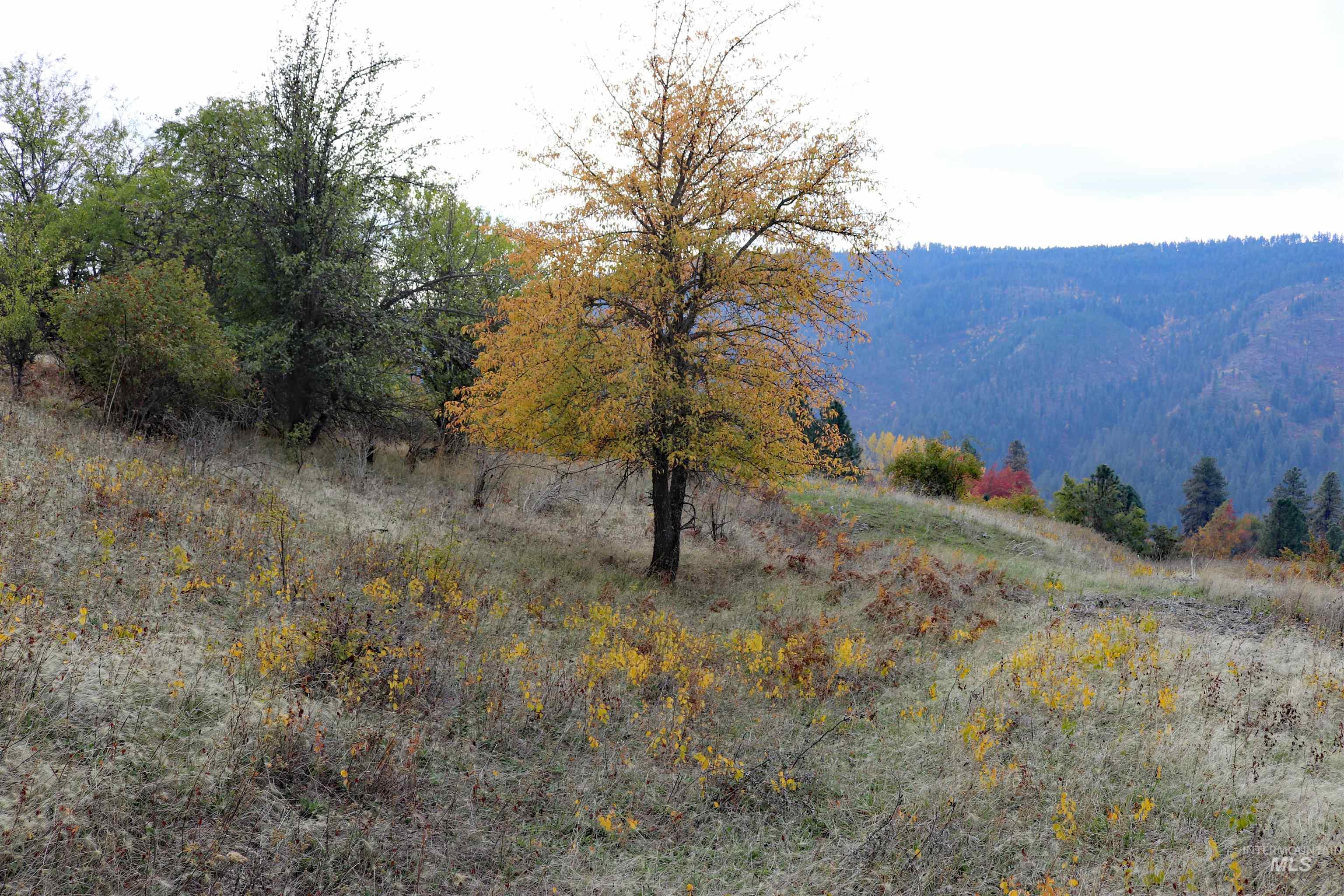 19975 Orchard Lane Property Photo 39