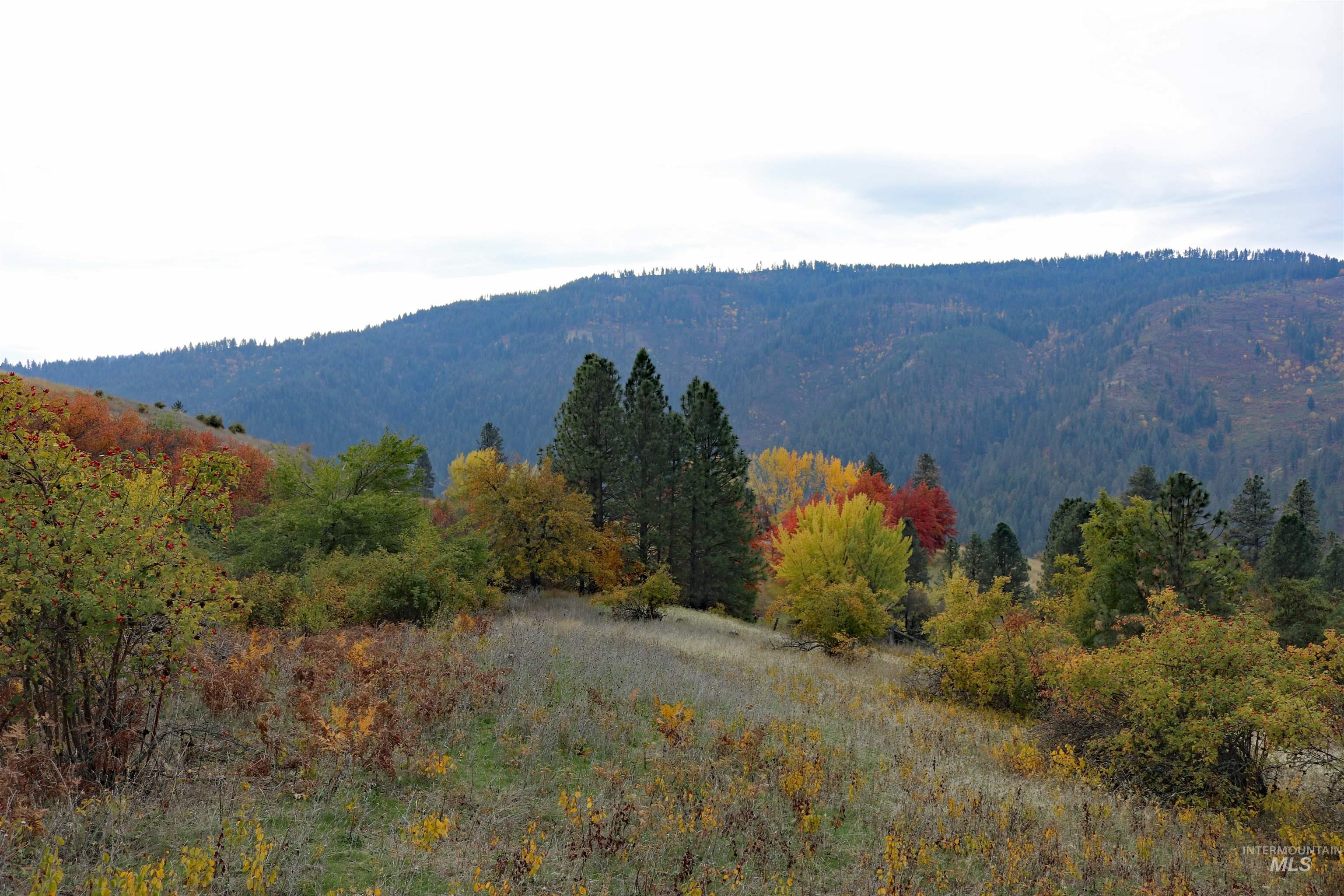 19975 Orchard Lane Property Photo 41