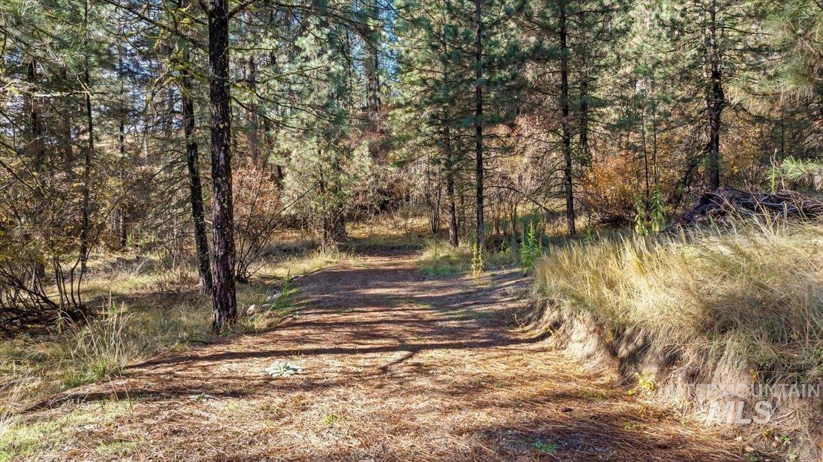 Lot 28 Horseshoe Rd Property Photo 15