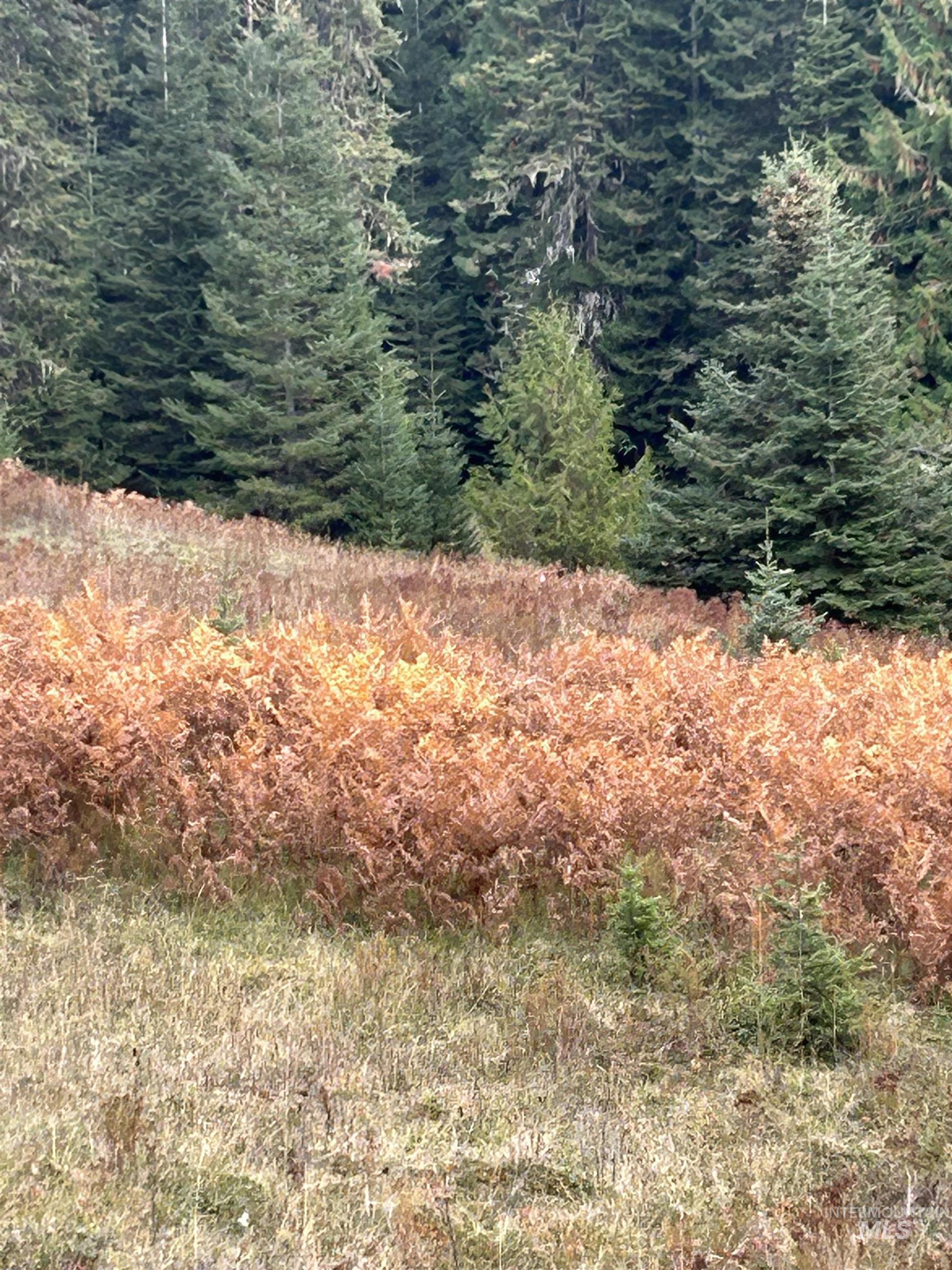 Tbd Lot 3 Glenwood Road Property Photo 7