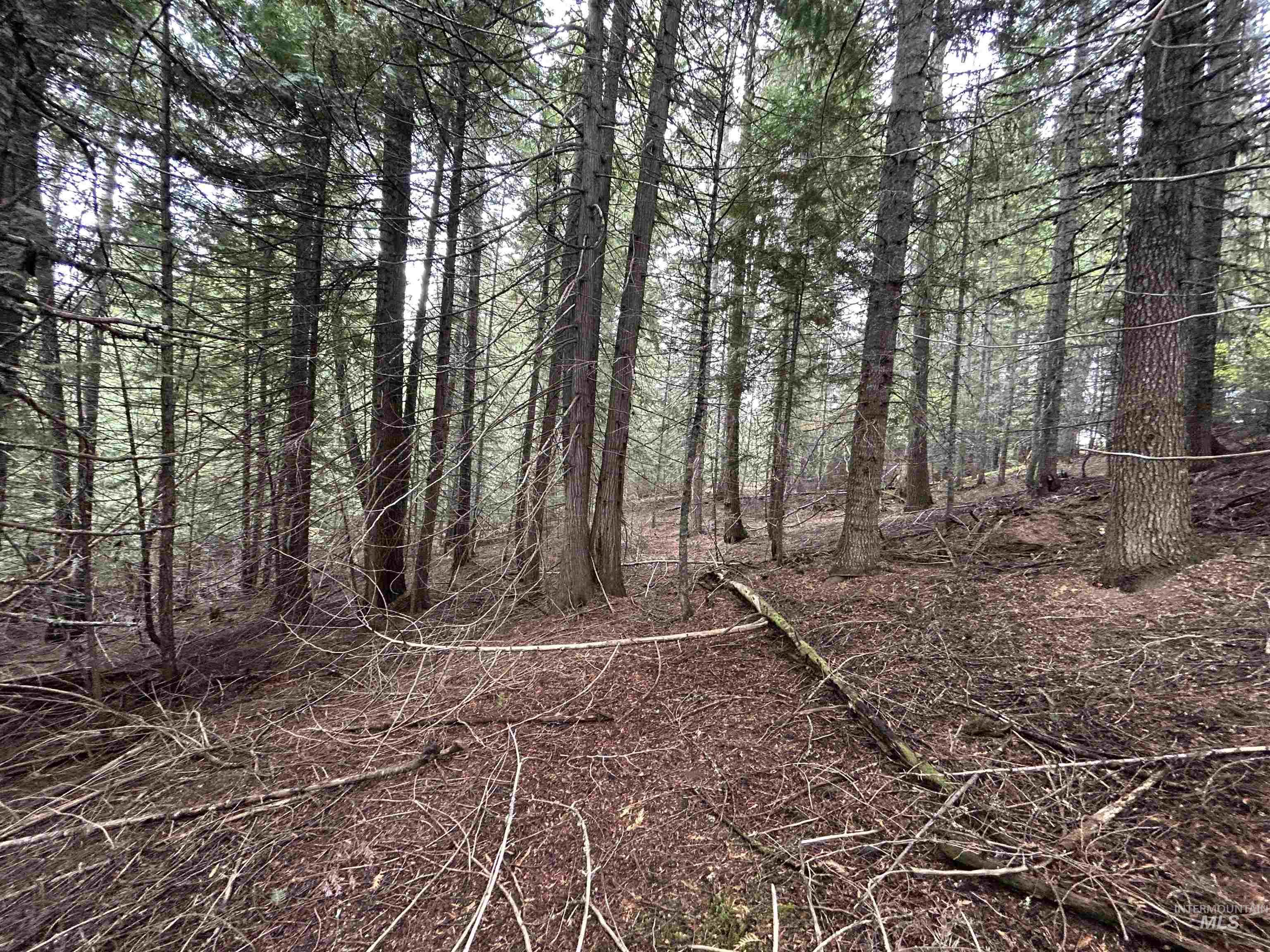 Tbd Lot 3 Glenwood Road Property Photo 11