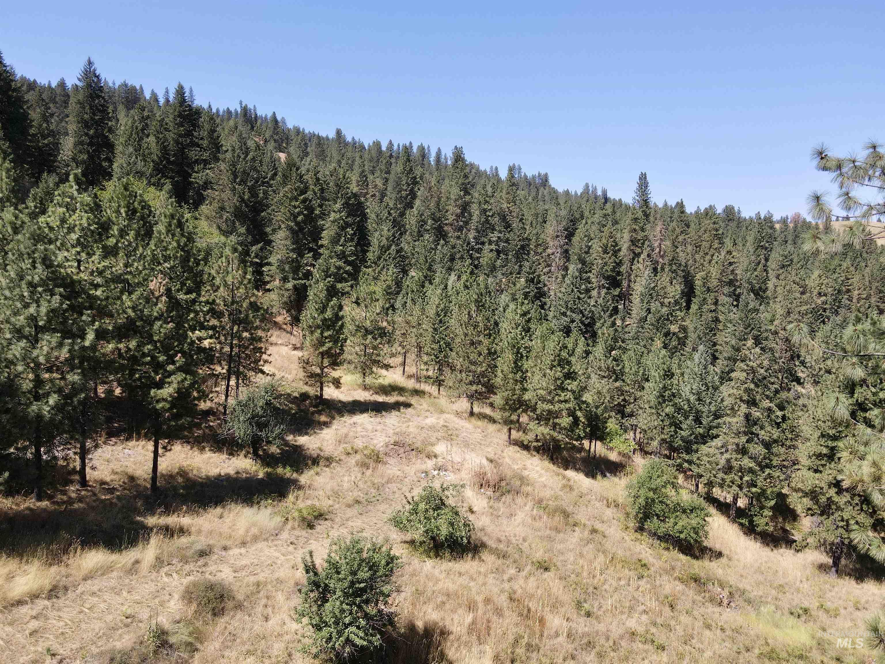 22545 Angel Ridge Road Property Photo 48