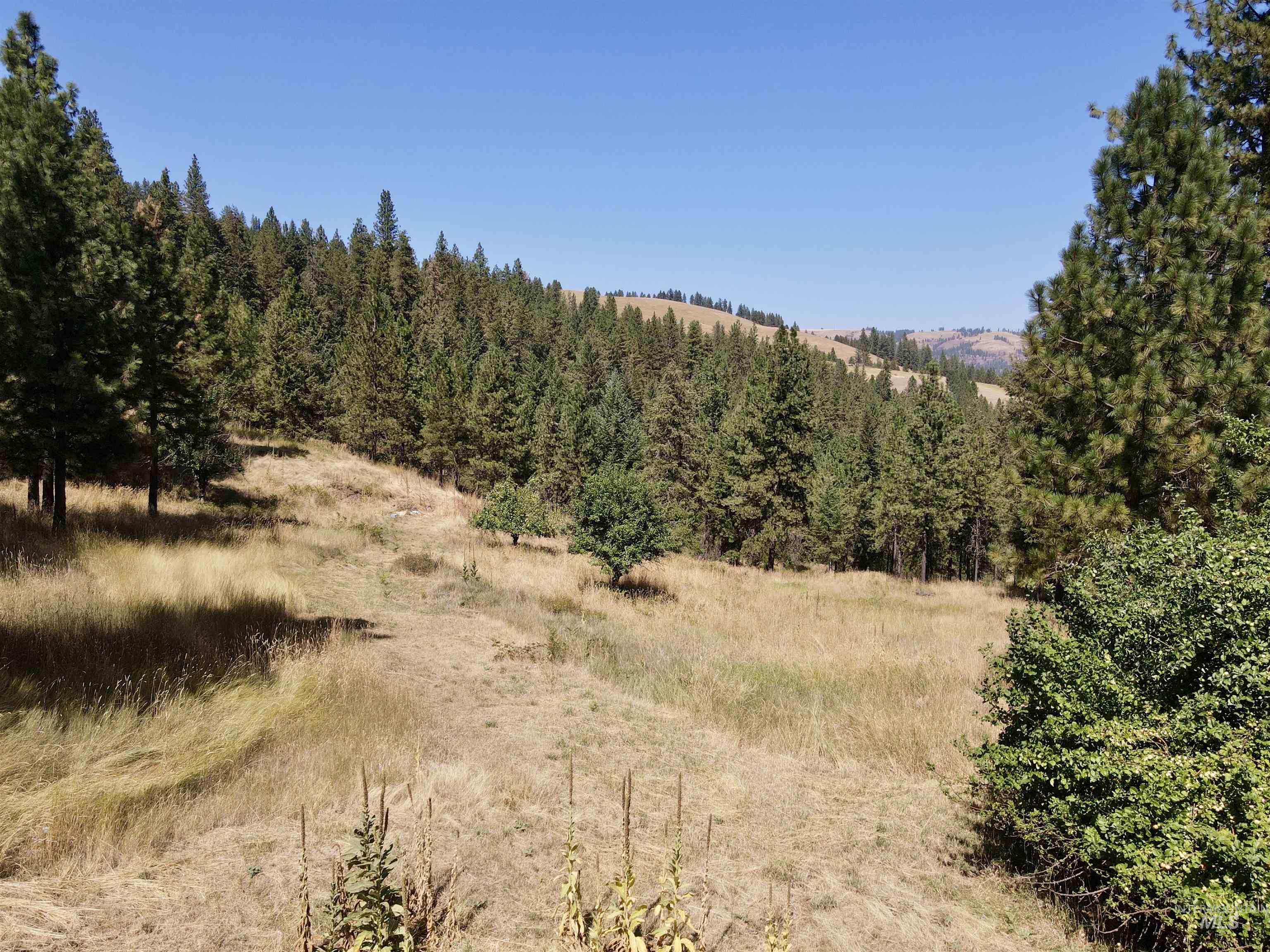 22545 Angel Ridge Road Property Photo 49