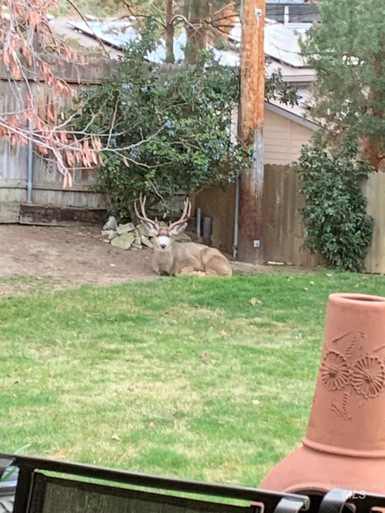 3100 N Ridgeway Property Photo 31