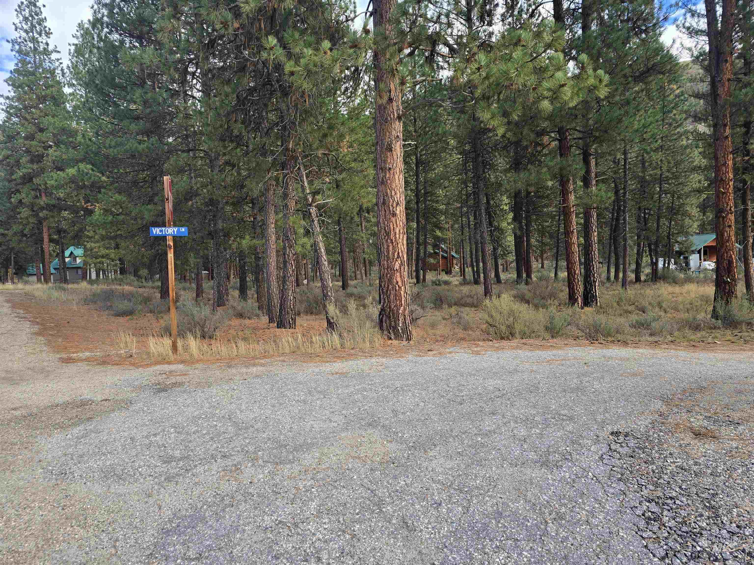 TBD Hwy 21 Lots 8,9 Property Photo 1
