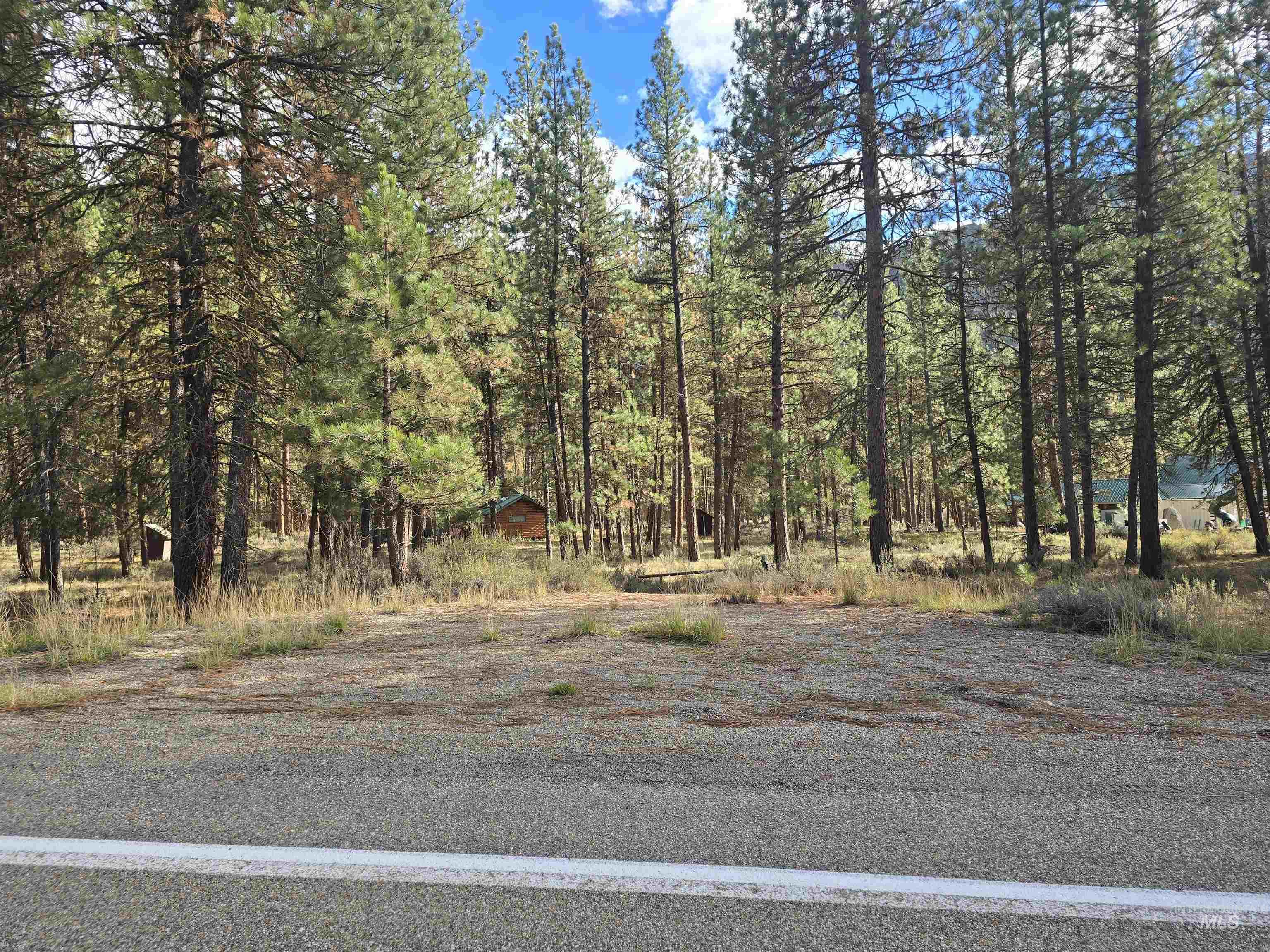 Tbd Hwy 21 Lots 8,9 Property Photo 2