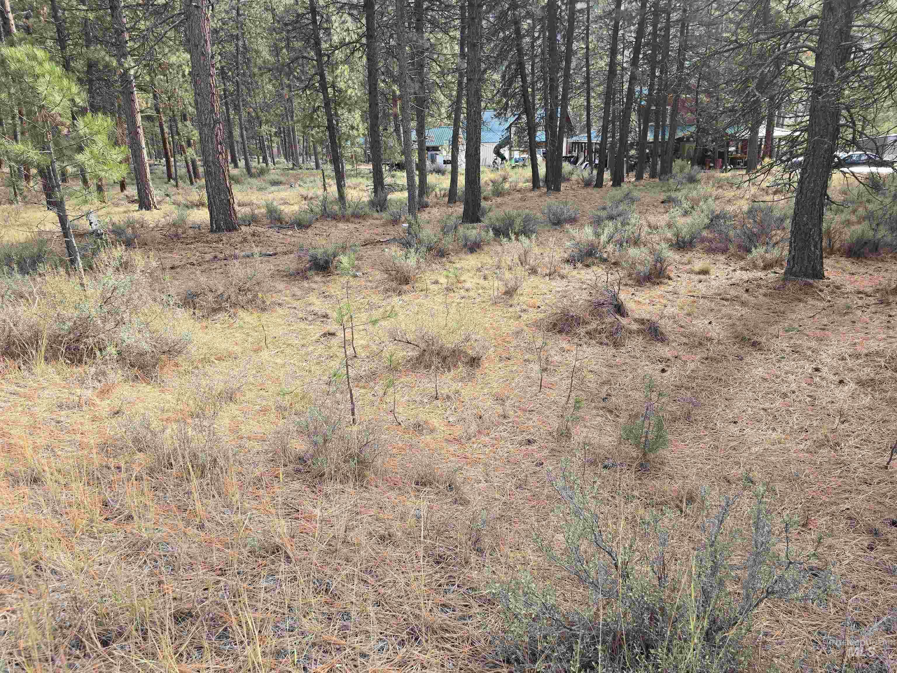 Tbd Hwy 21 Lots 8,9 Property Photo 4