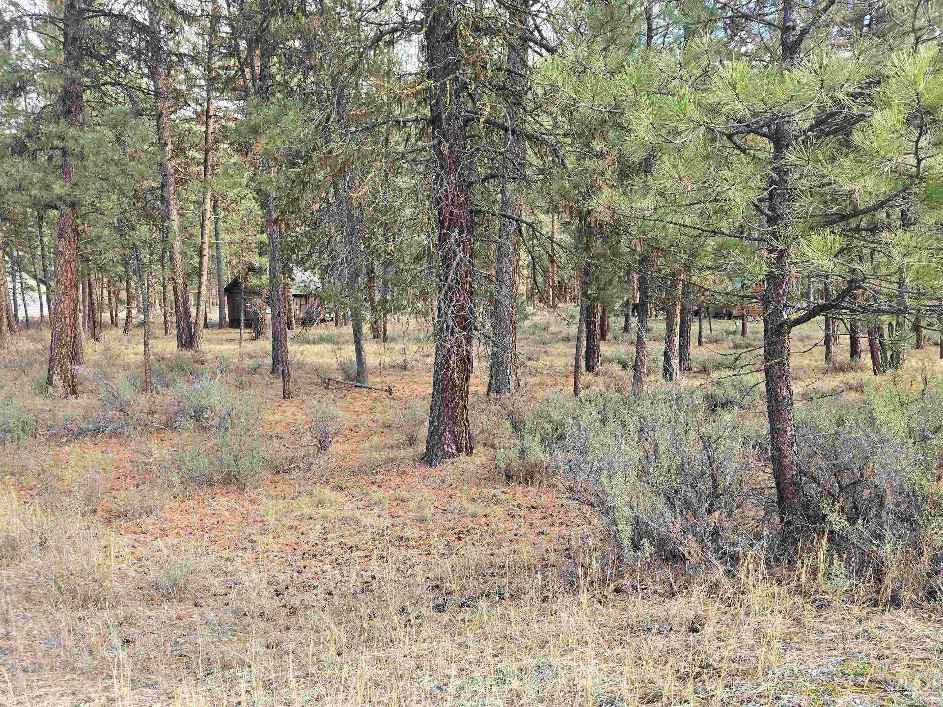 Tbd Hwy 21 Lots 8,9 Property Photo 5