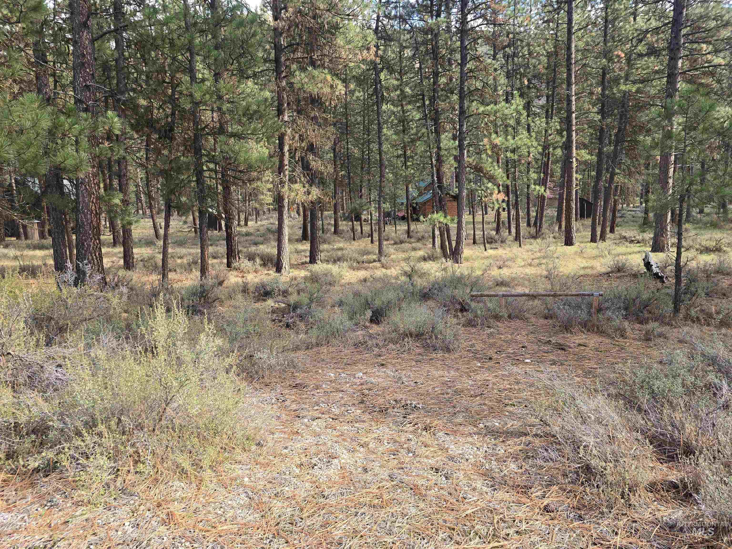 Tbd Hwy 21 Lots 8,9 Property Photo 6