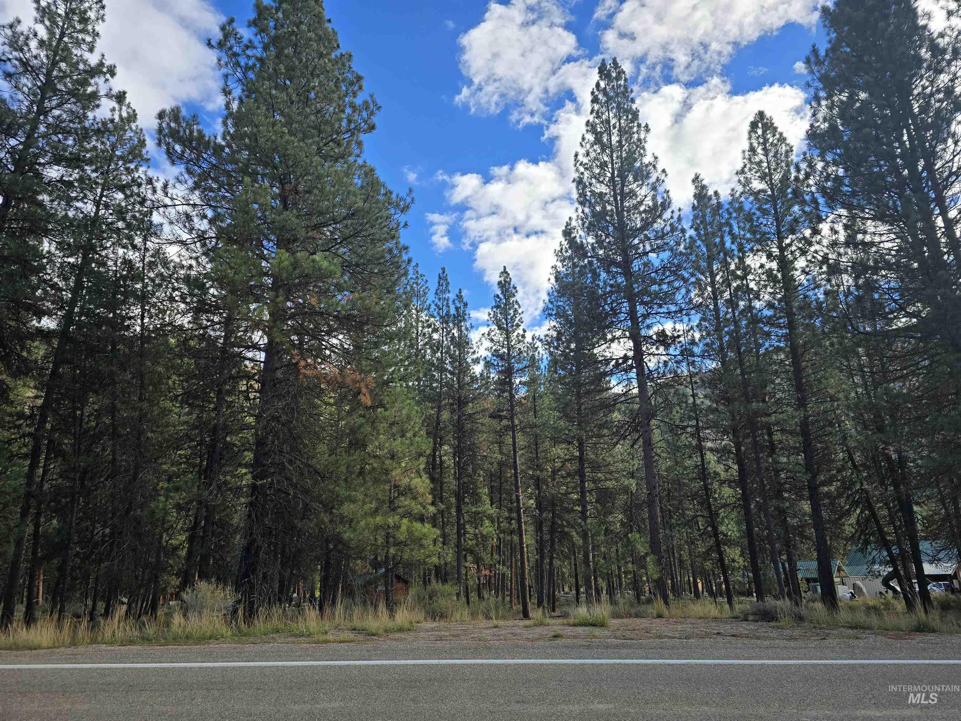 Tbd Hwy 21 Lots 8,9 Property Photo 7