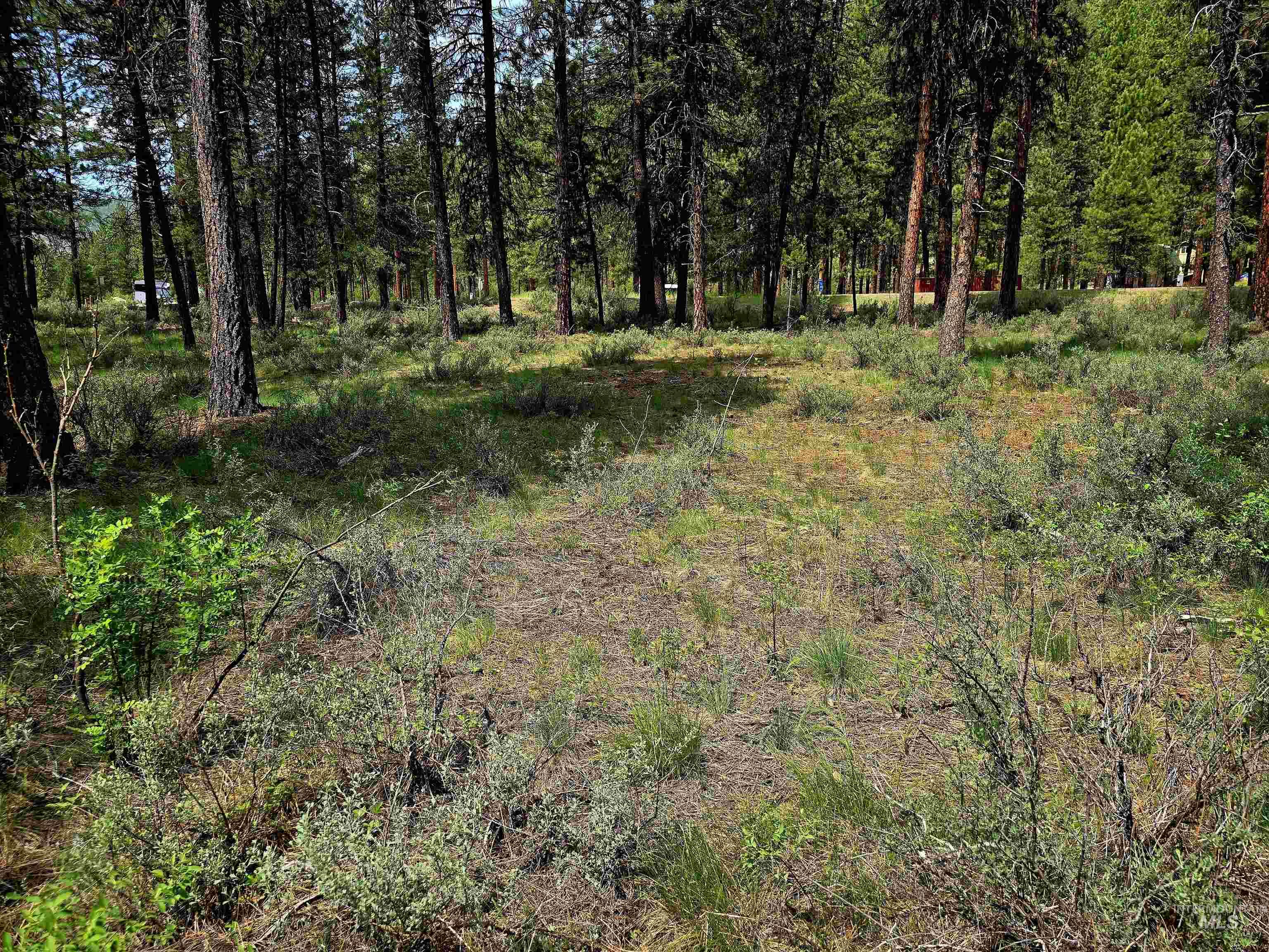Tbd Hwy 21 Lots 8,9 Property Photo 9