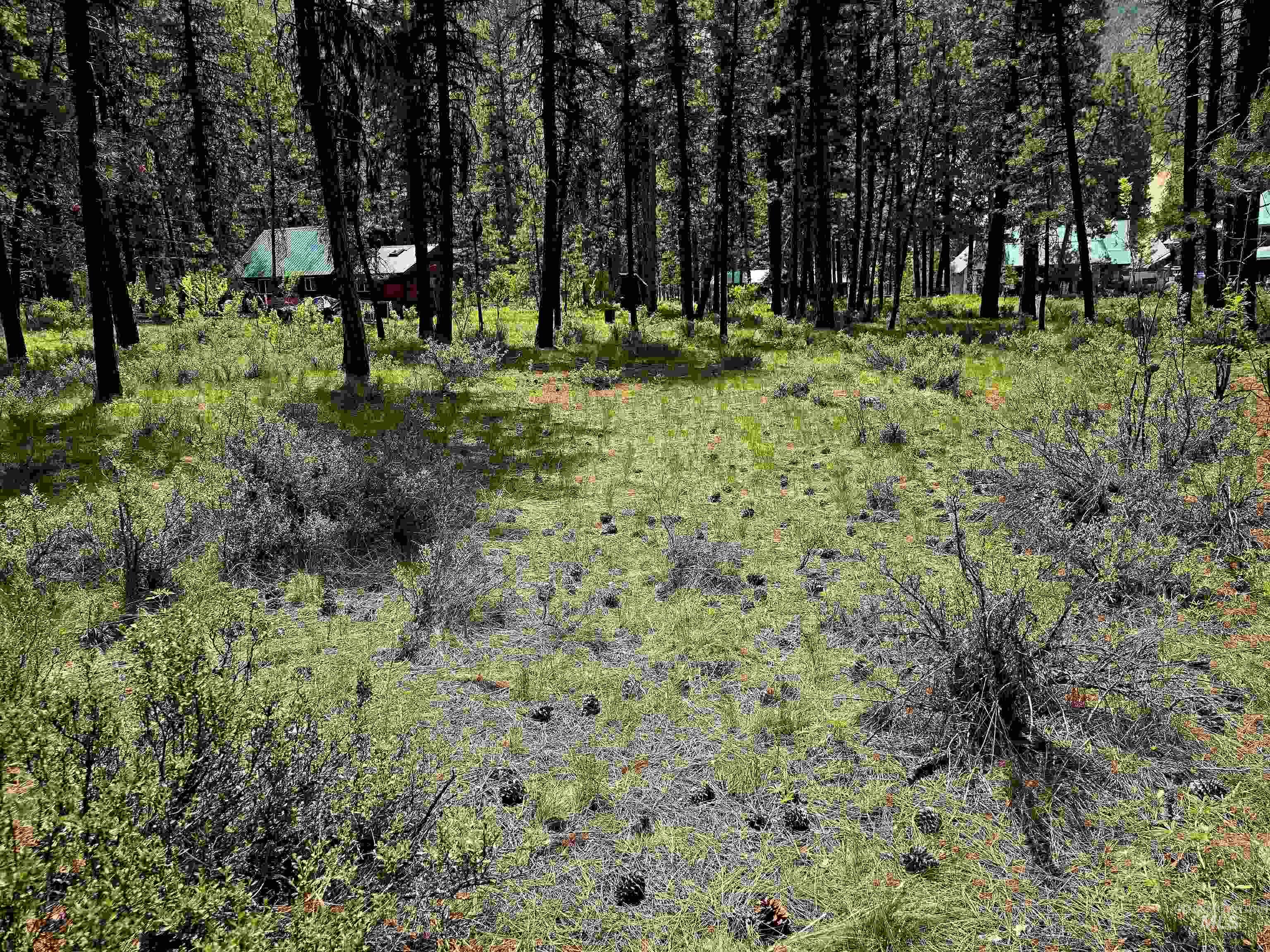 Tbd Hwy 21 Lots 8,9 Property Photo 11