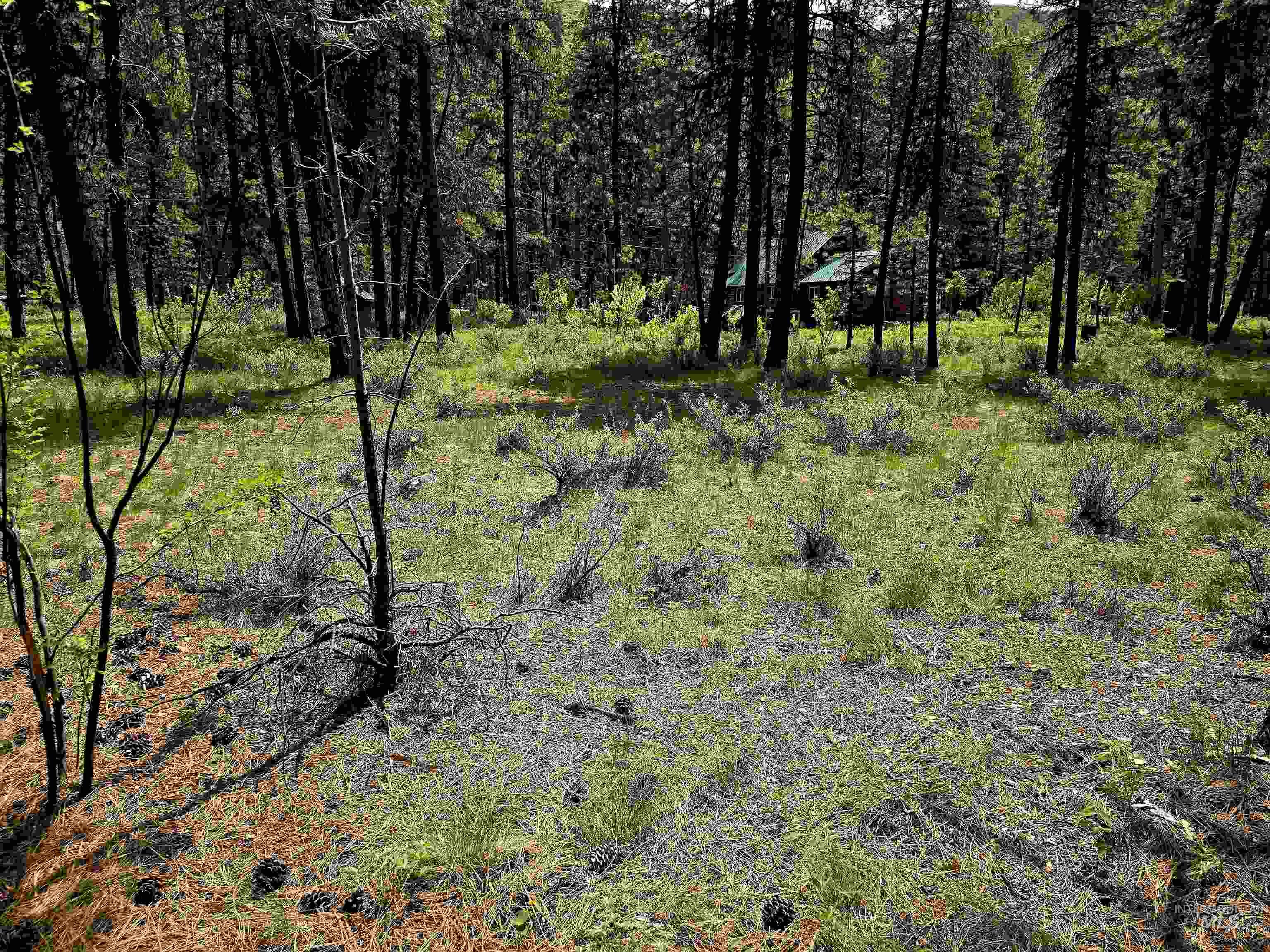 Tbd Hwy 21 Lots 8,9 Property Photo 12