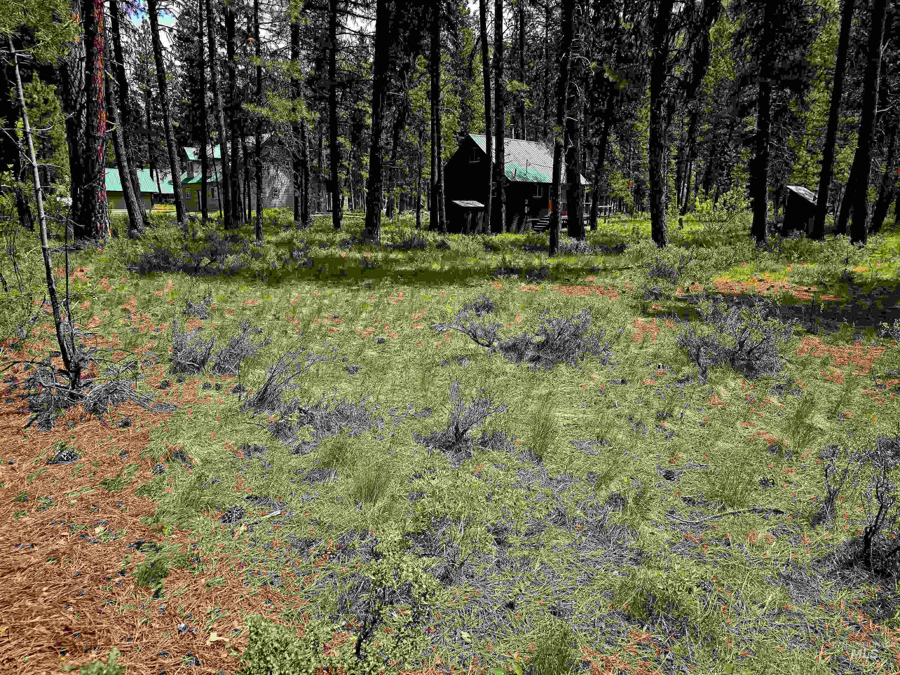 Tbd Hwy 21 Lots 8,9 Property Photo 13