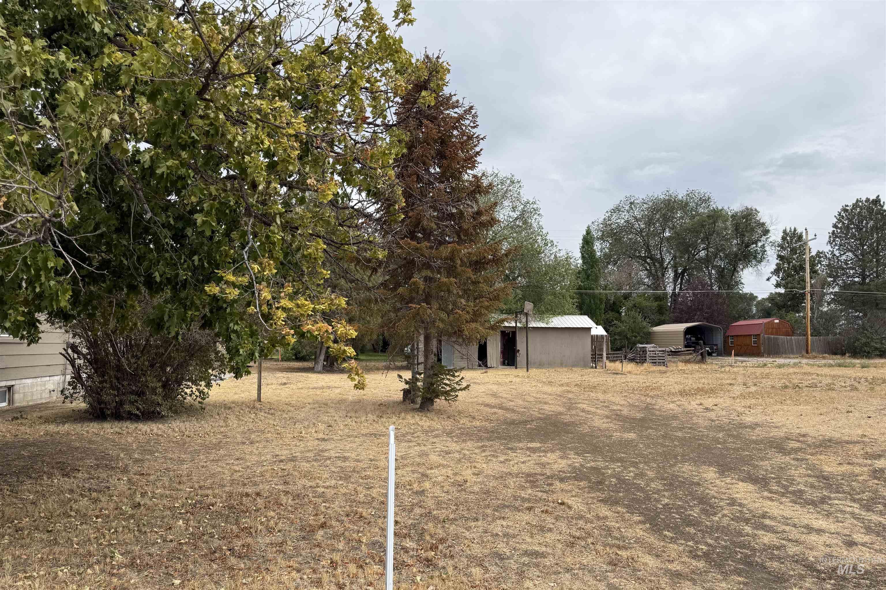 Tbd N Main Property Photo 3