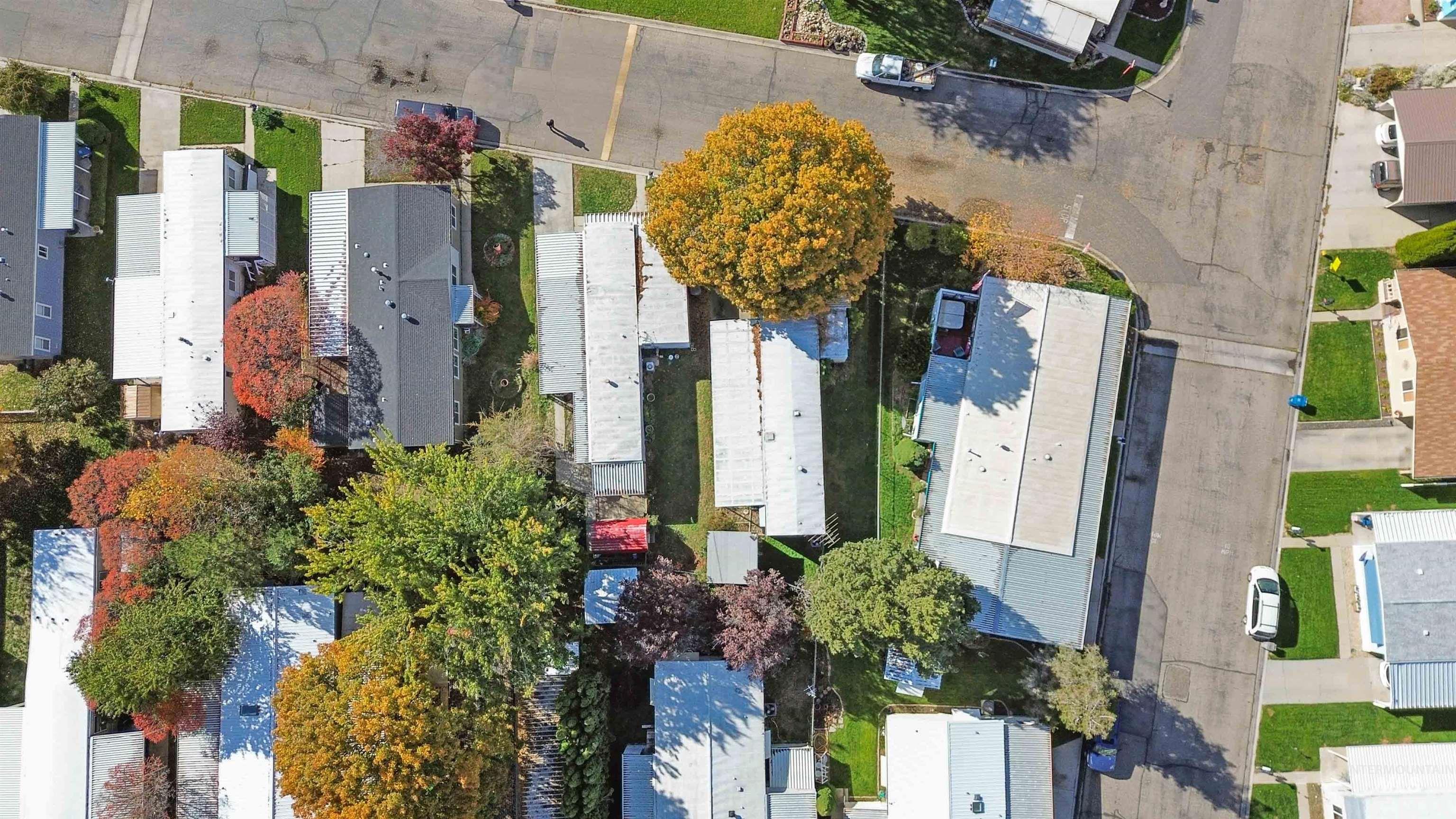 376 Bonanza St Property Photo 39