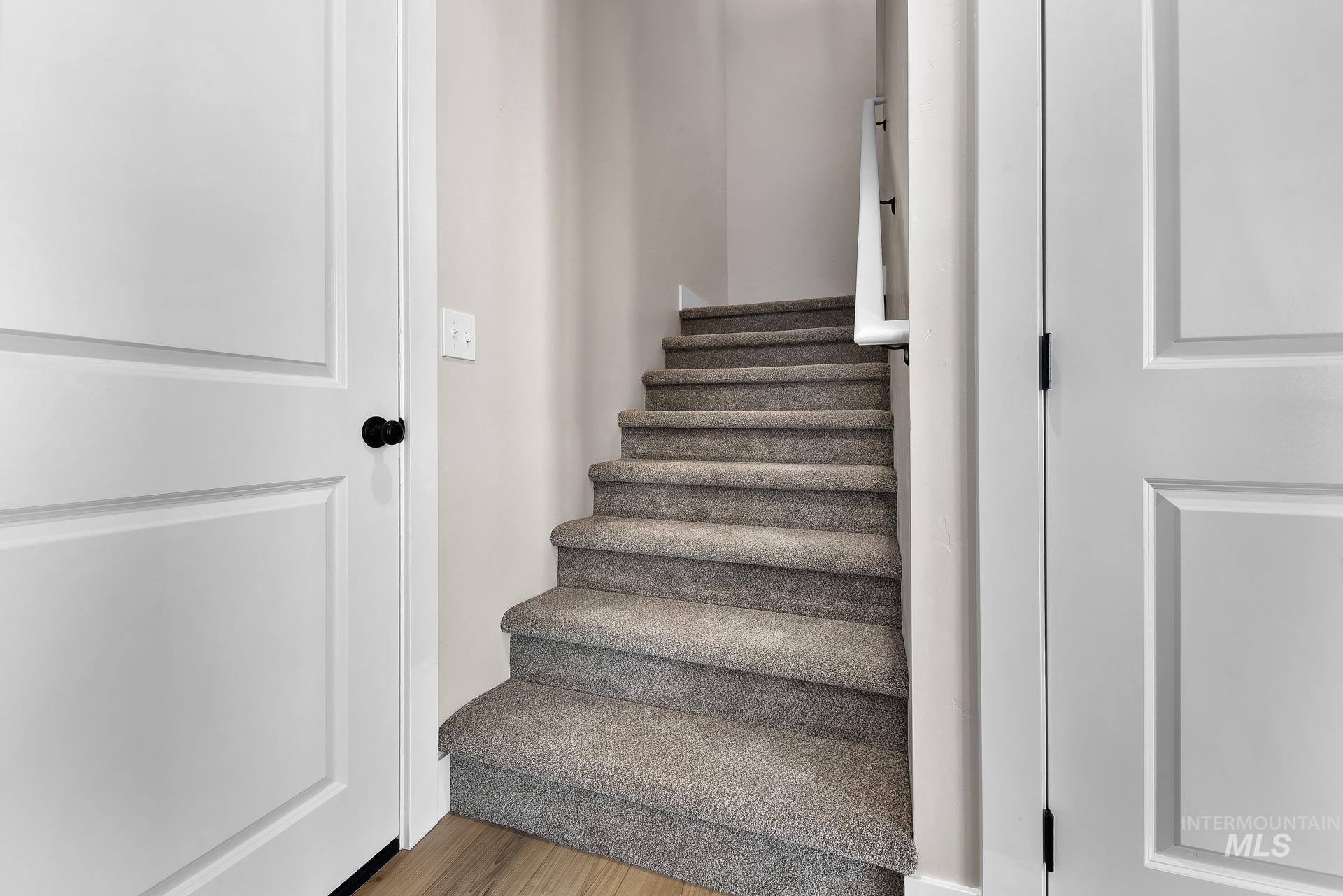 2909 Nieve Ln Property Photo 6